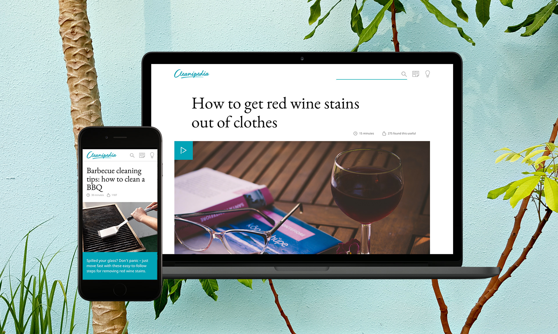 Cleanipedia