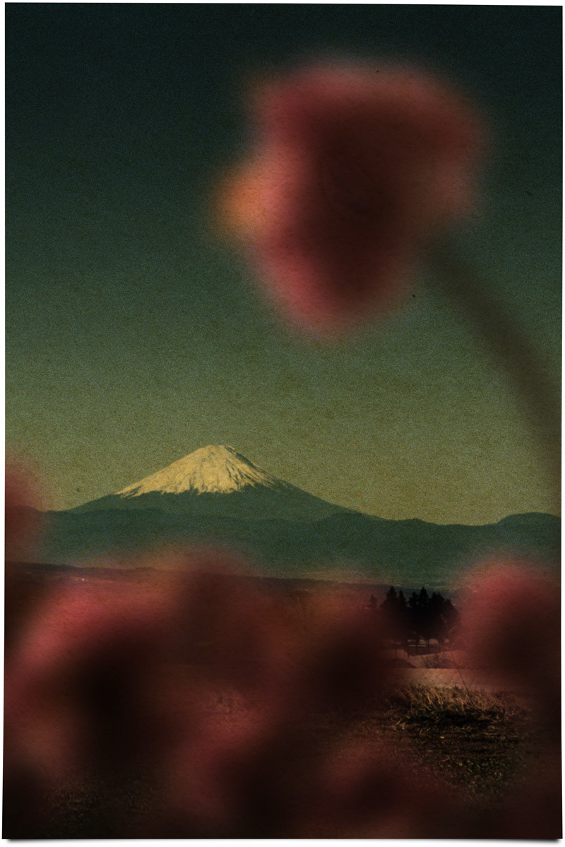 #243