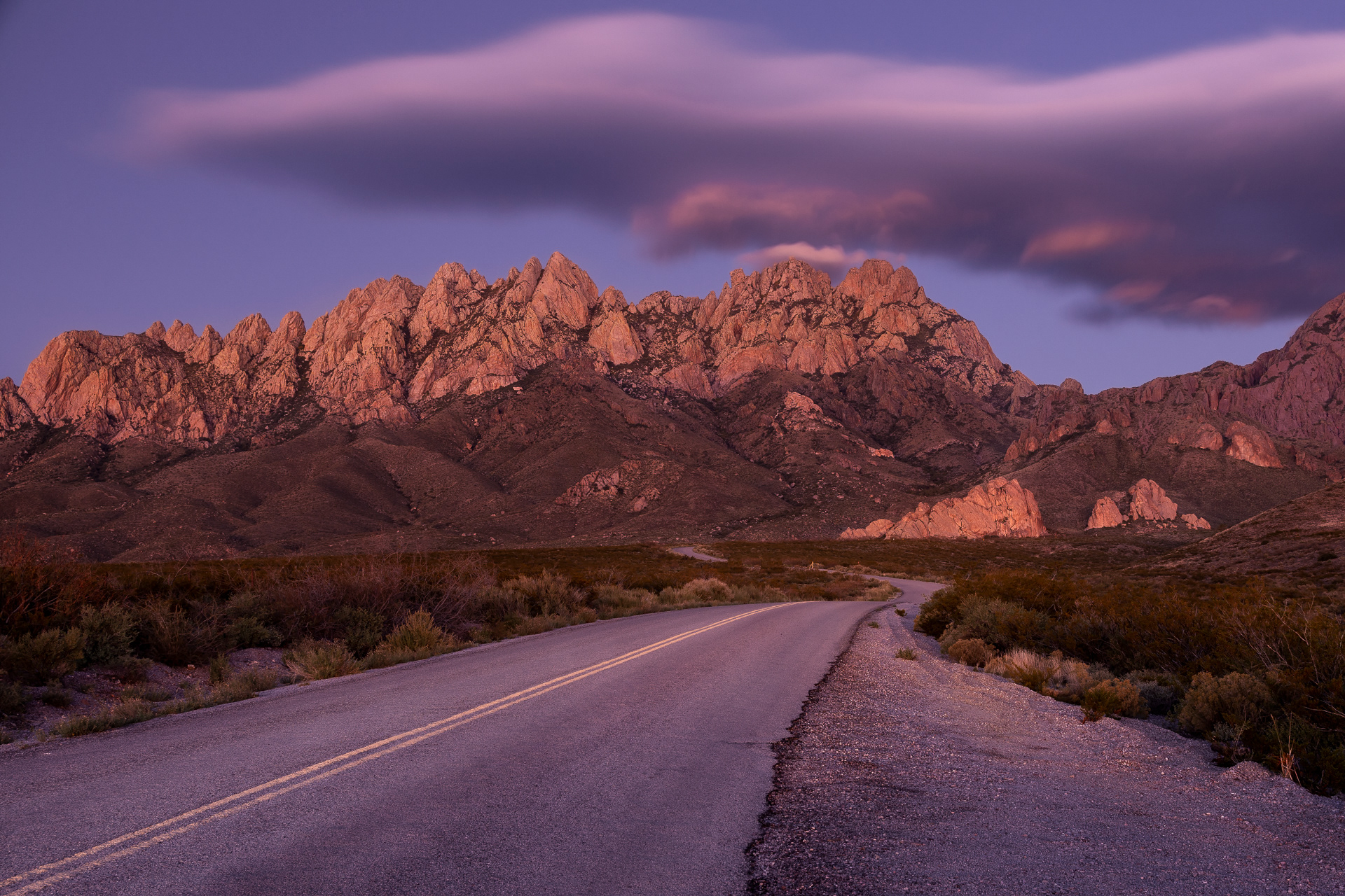 Needle Road- New Mexico