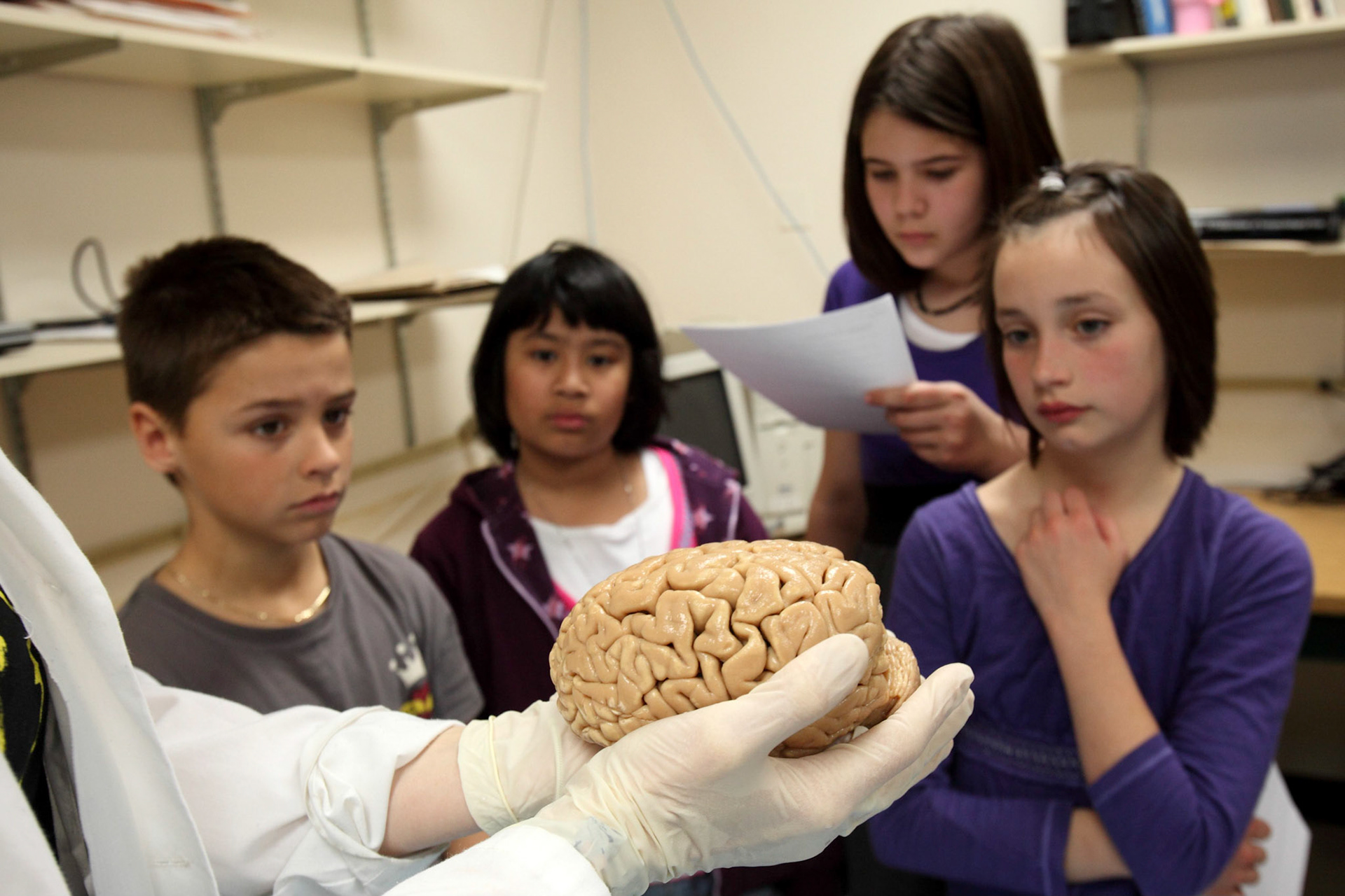 Young students learn about the brain at an open house at the Neuro, March 2010.