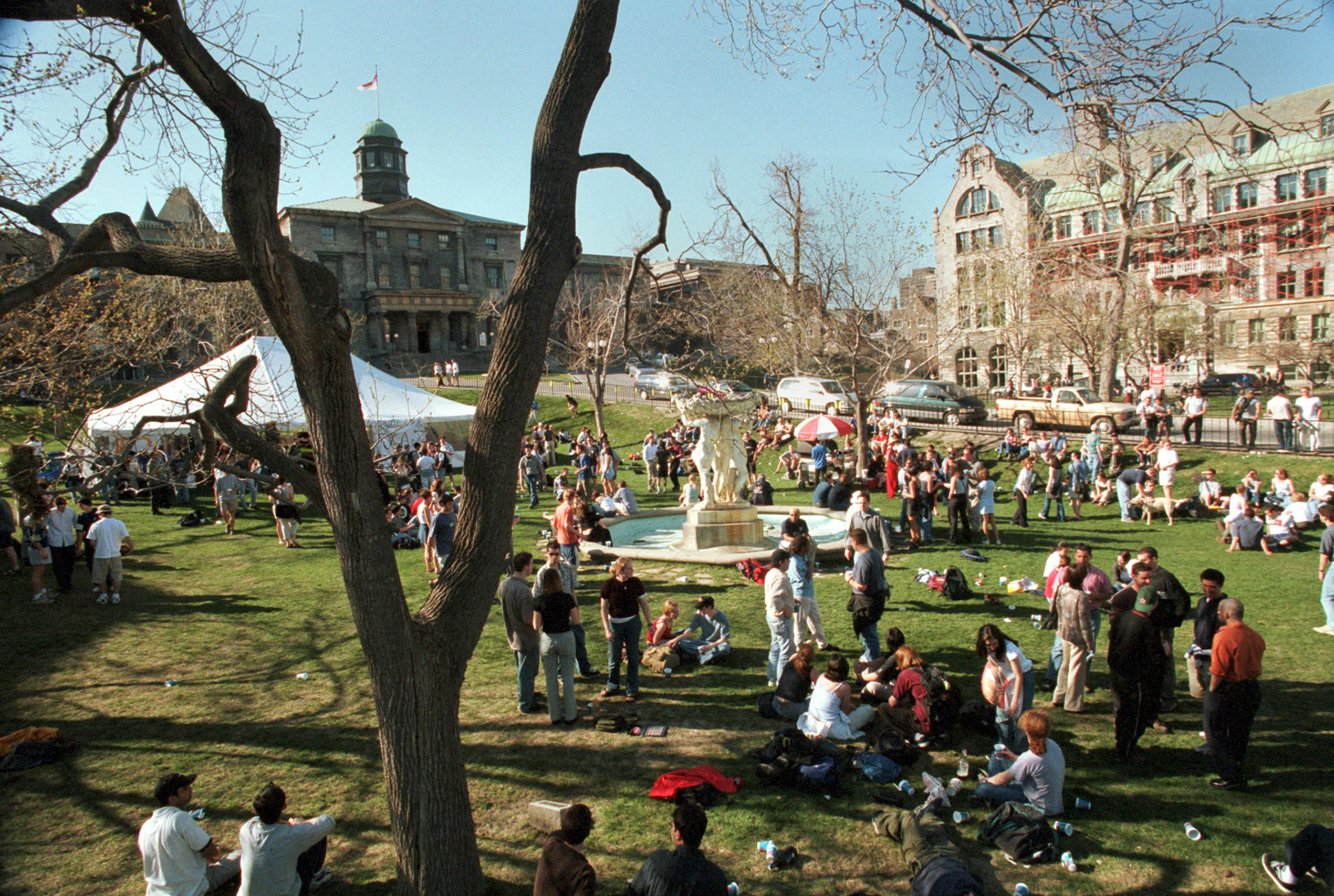 Open-air pub, before the Jurassic Park-style fencing was needed.  April 1999.