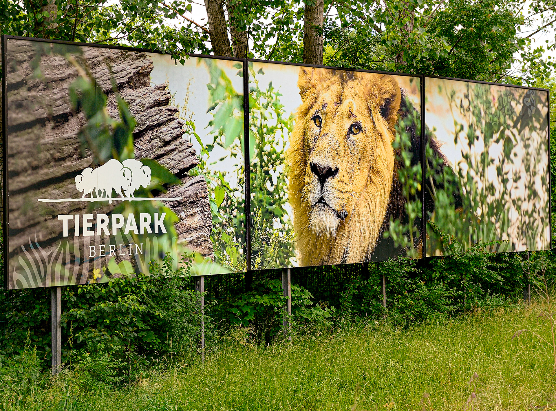 Großformatige Plakatwerbung