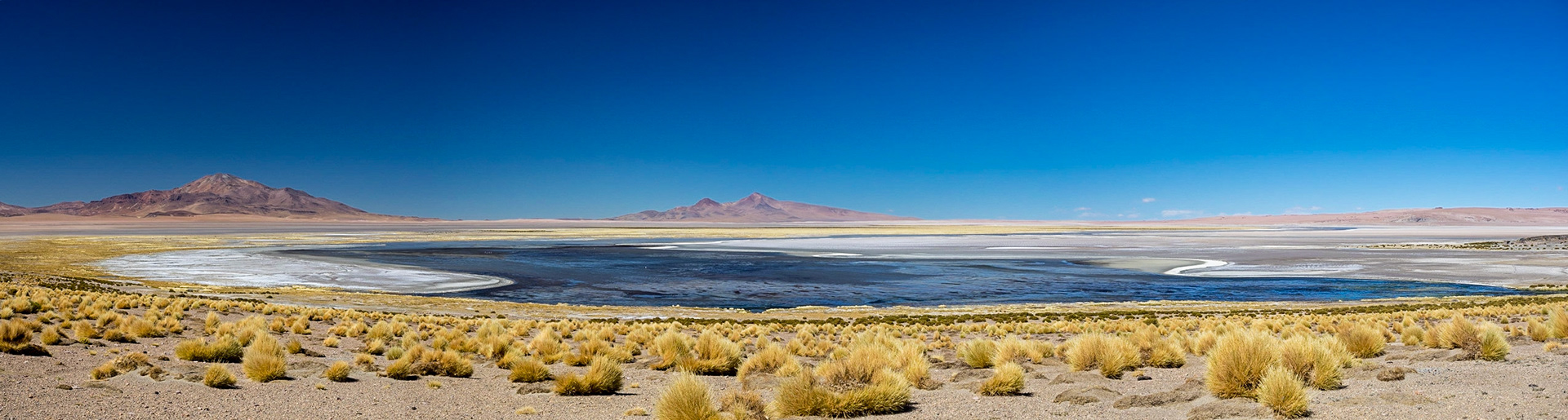 Salar de Tara