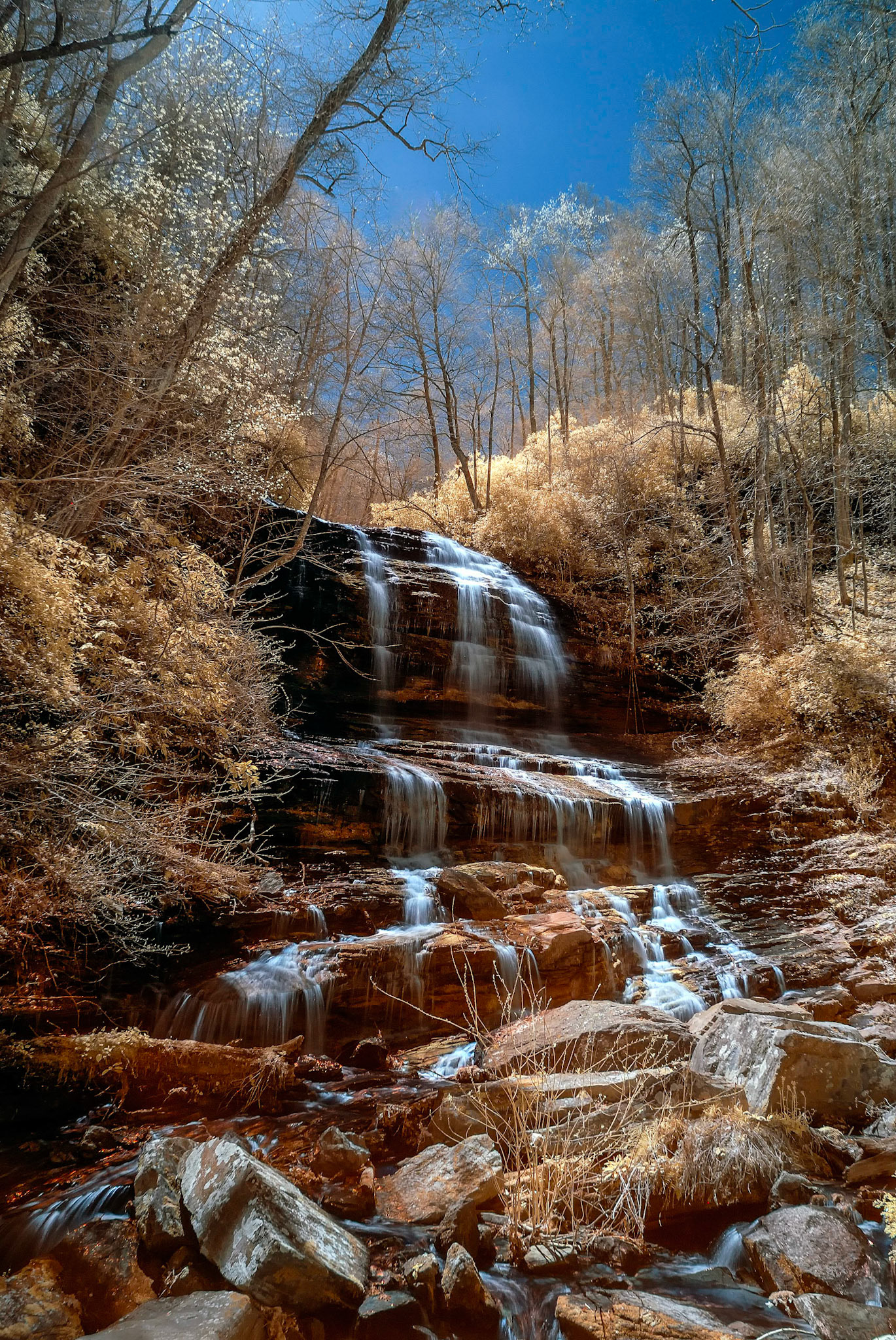 Pearson's Falls in InfraRed