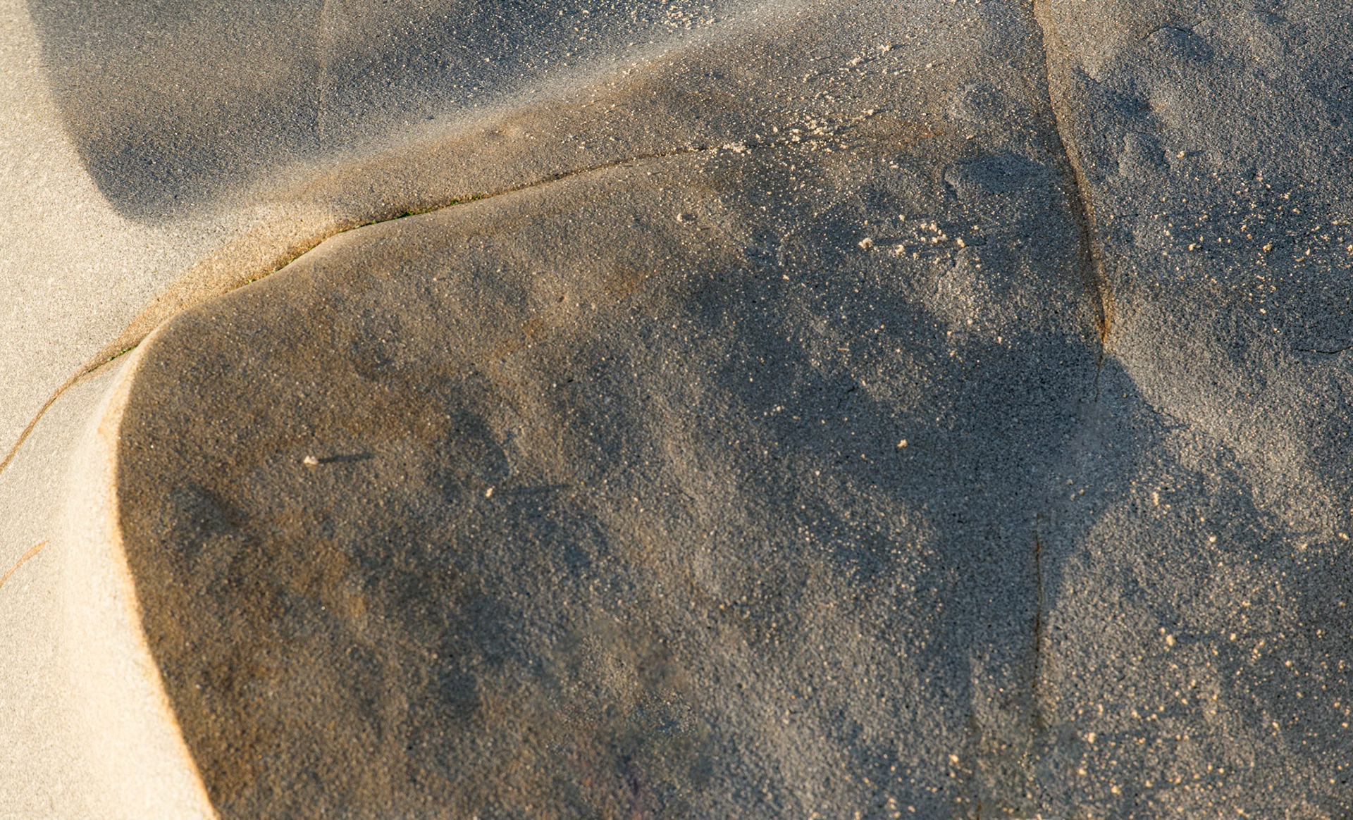 La Jolla Coastal Rock Study 26, 2016