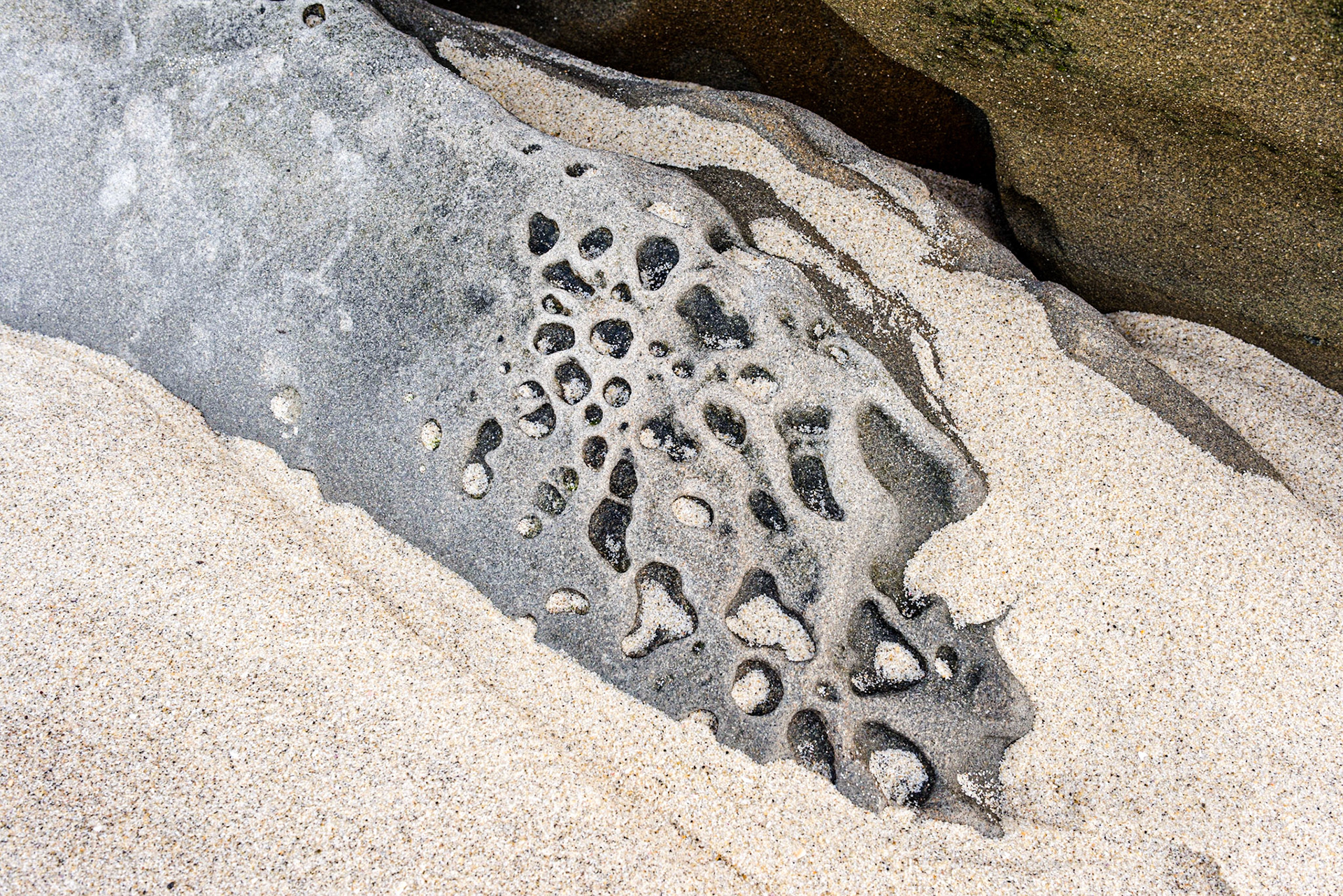 La Jolla Coastal Rock Study 18, 2015