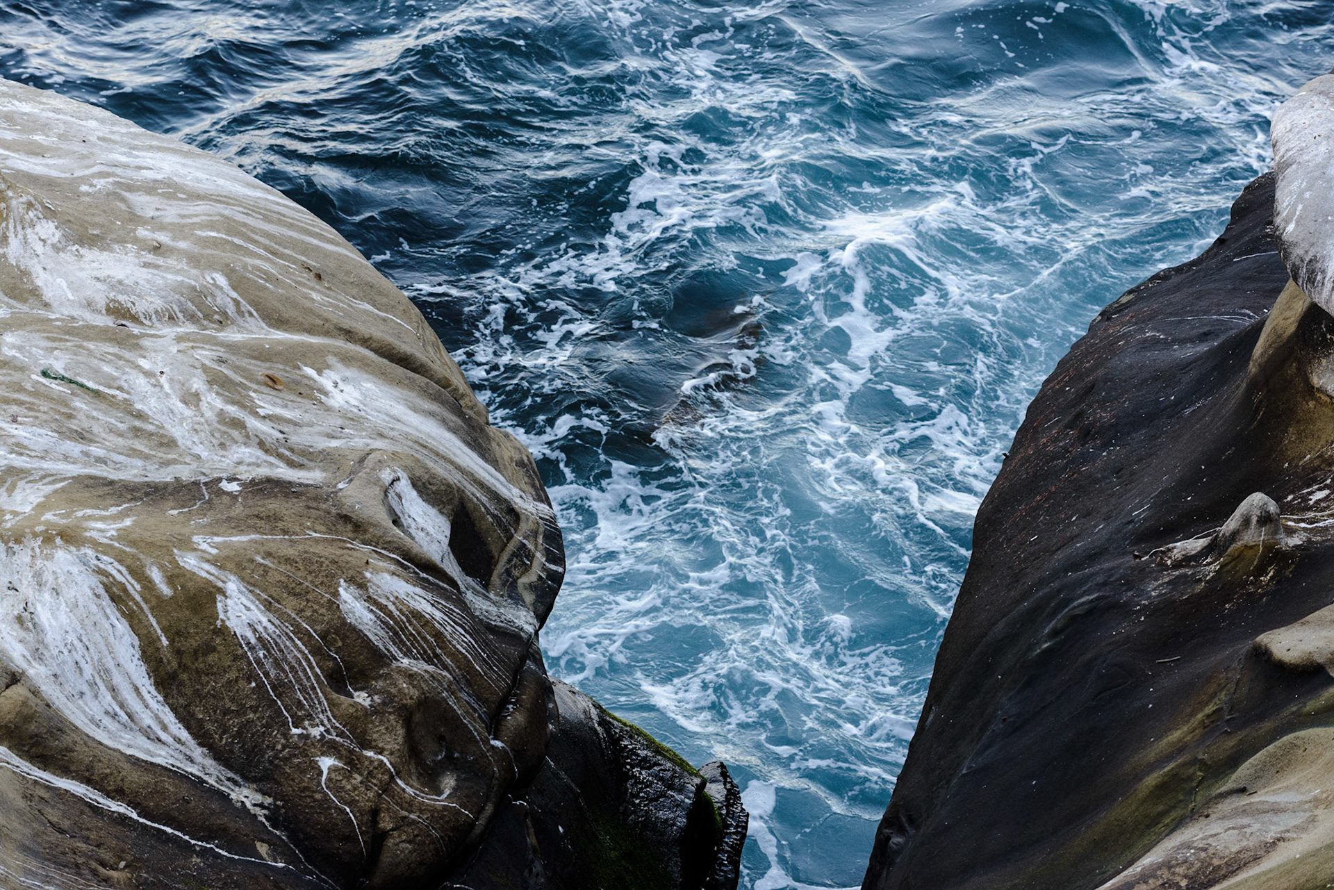 La Jolla Coastal Rock Study 13, 2015