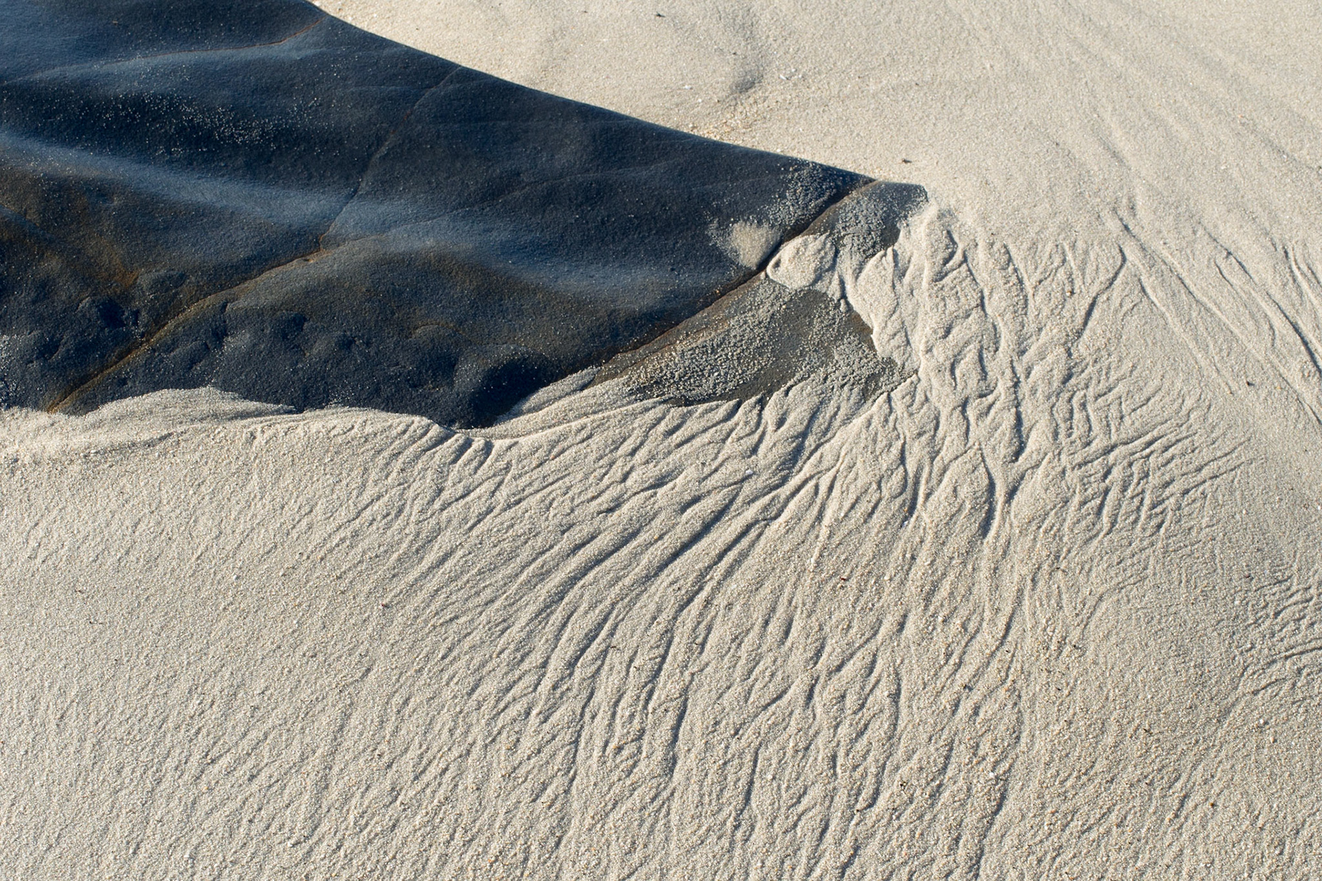 La Jolla Coastal Rock Study 9, 2015