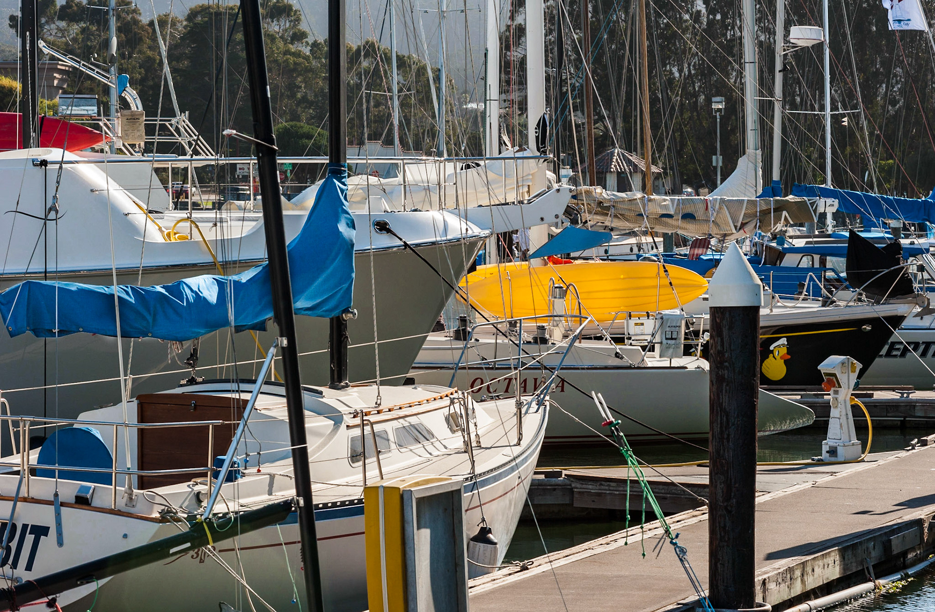 Yacht Harbor, The Marina District, San Francisco, 2010