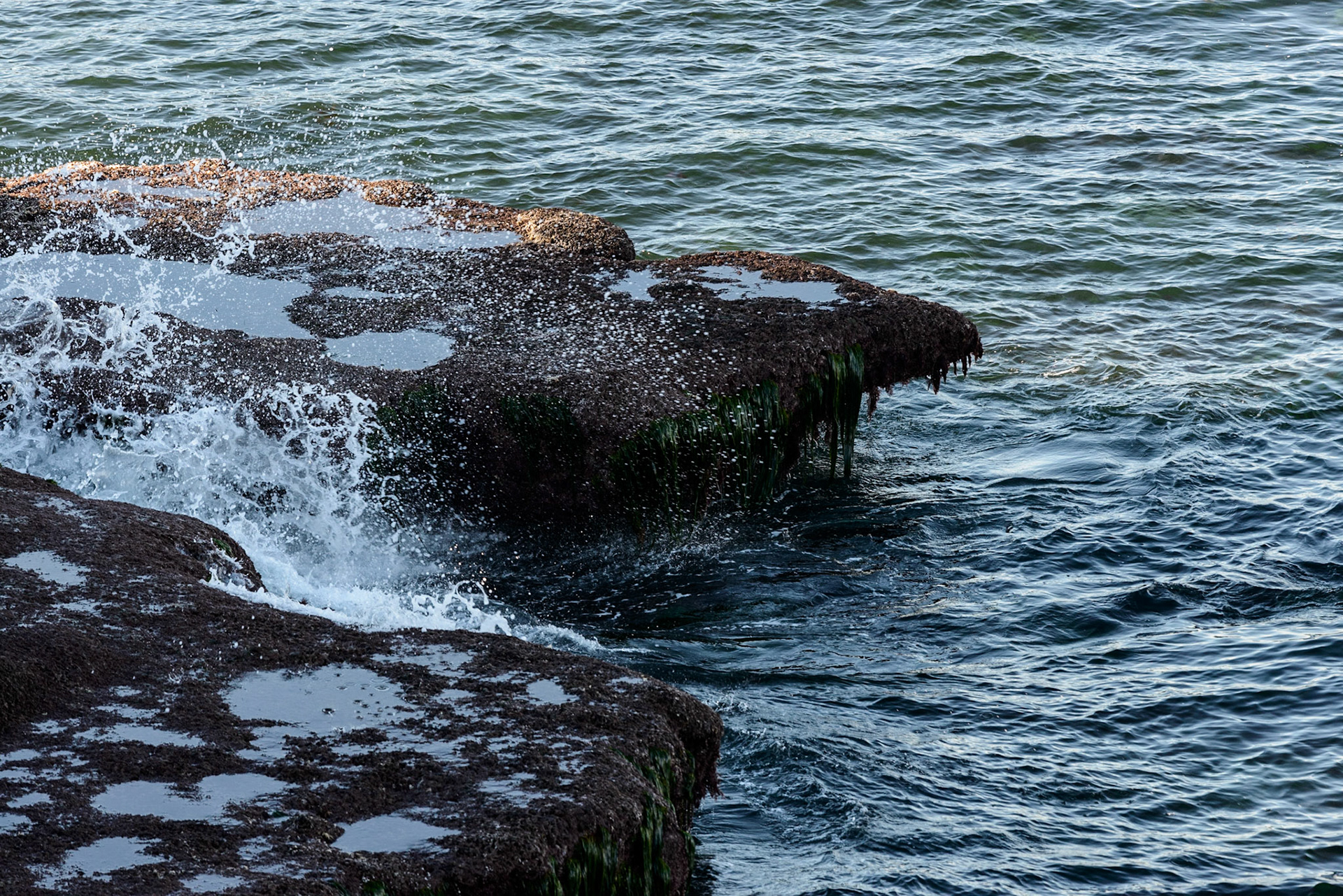 Water's Edge, La Jolla, 2015