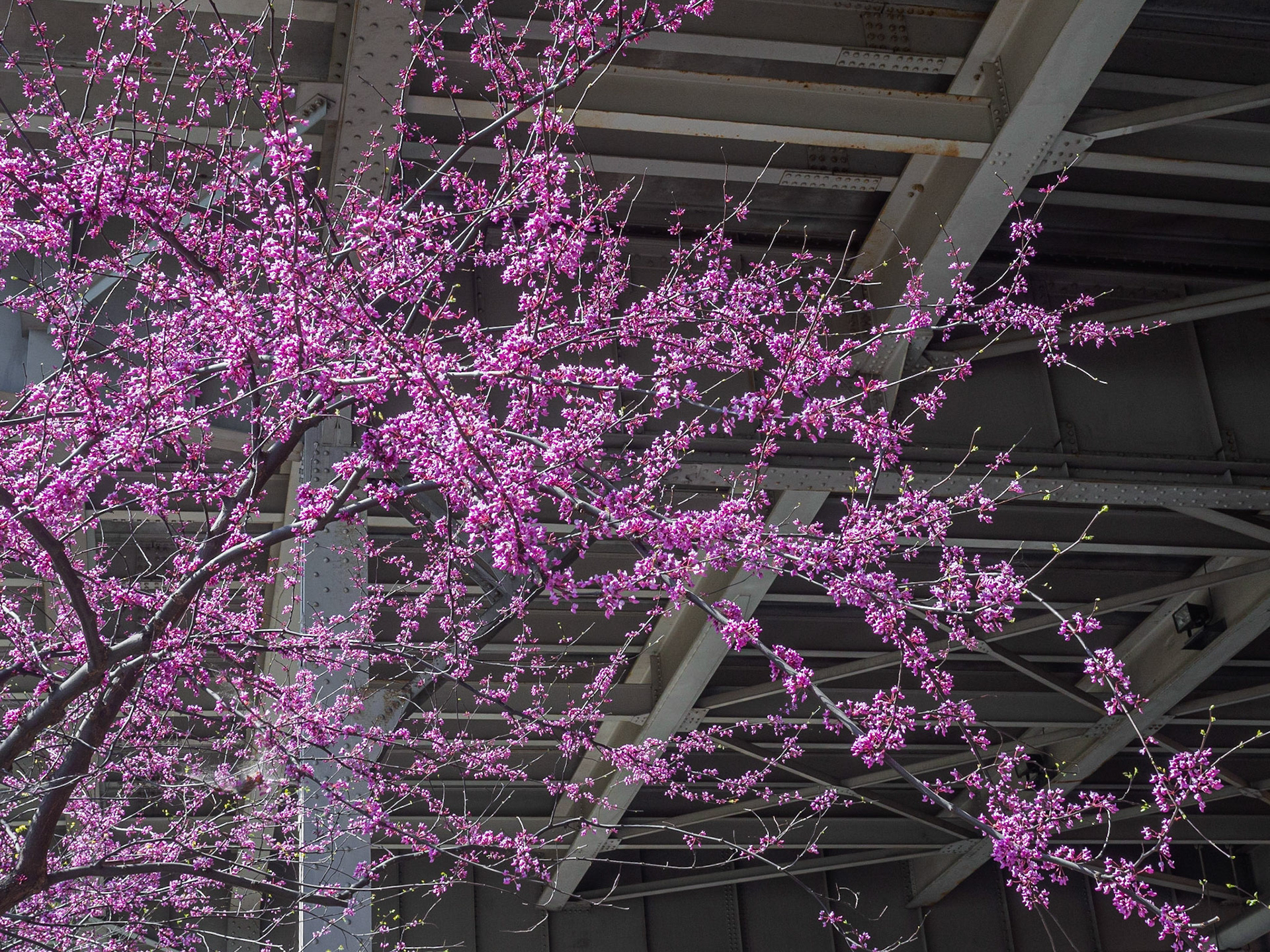 Georgetown, Washington DC, 2017