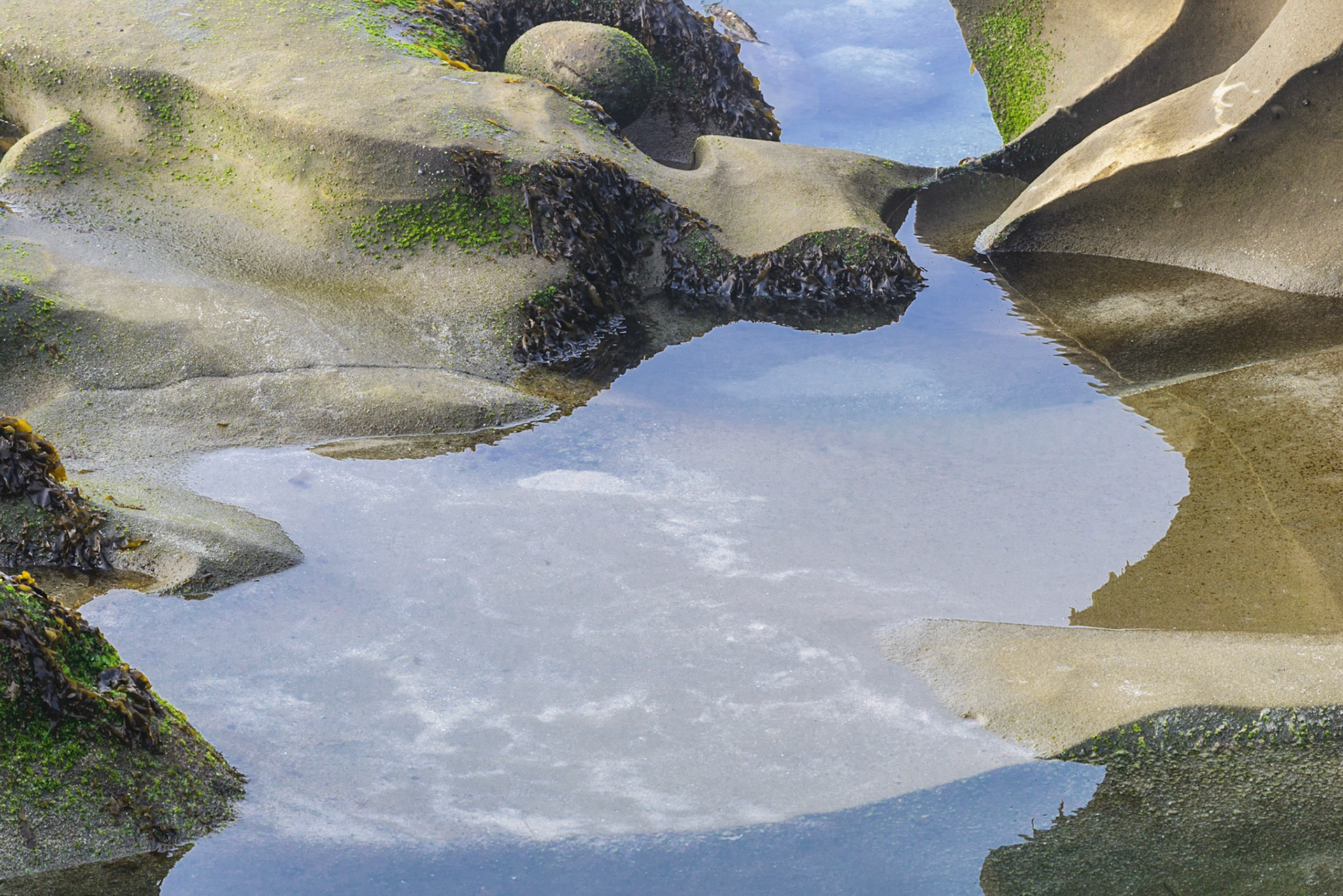 La Jolla Coastal Rock Study 24, 2016