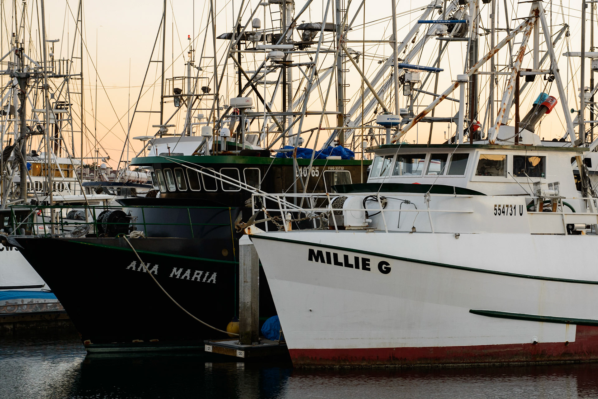 Tuna Harbor, San Diego, CA 2015