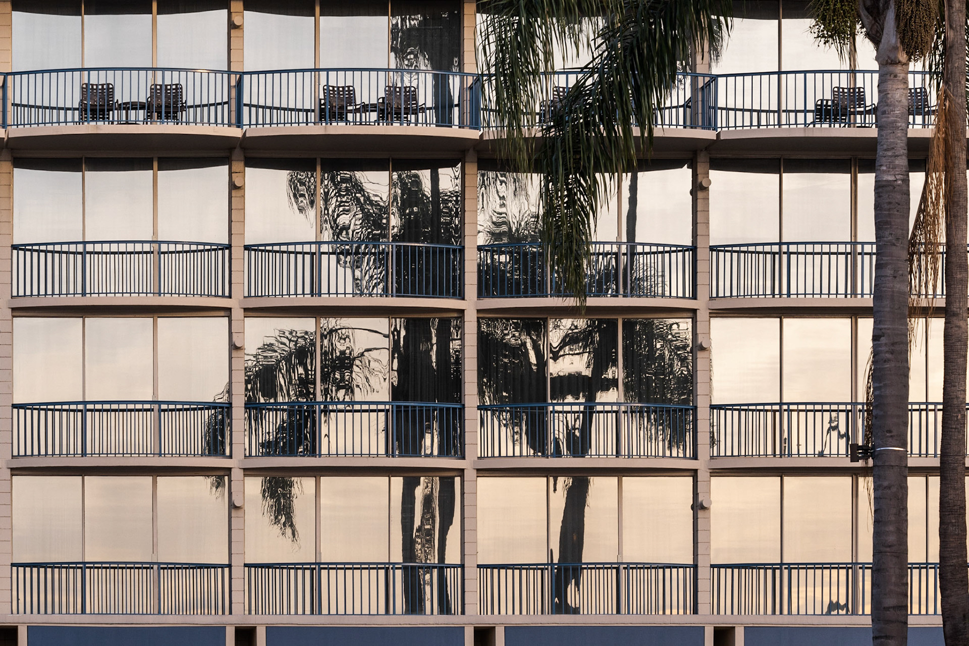Harbor Drive Palm Tree Reflection, San Diego, 2020