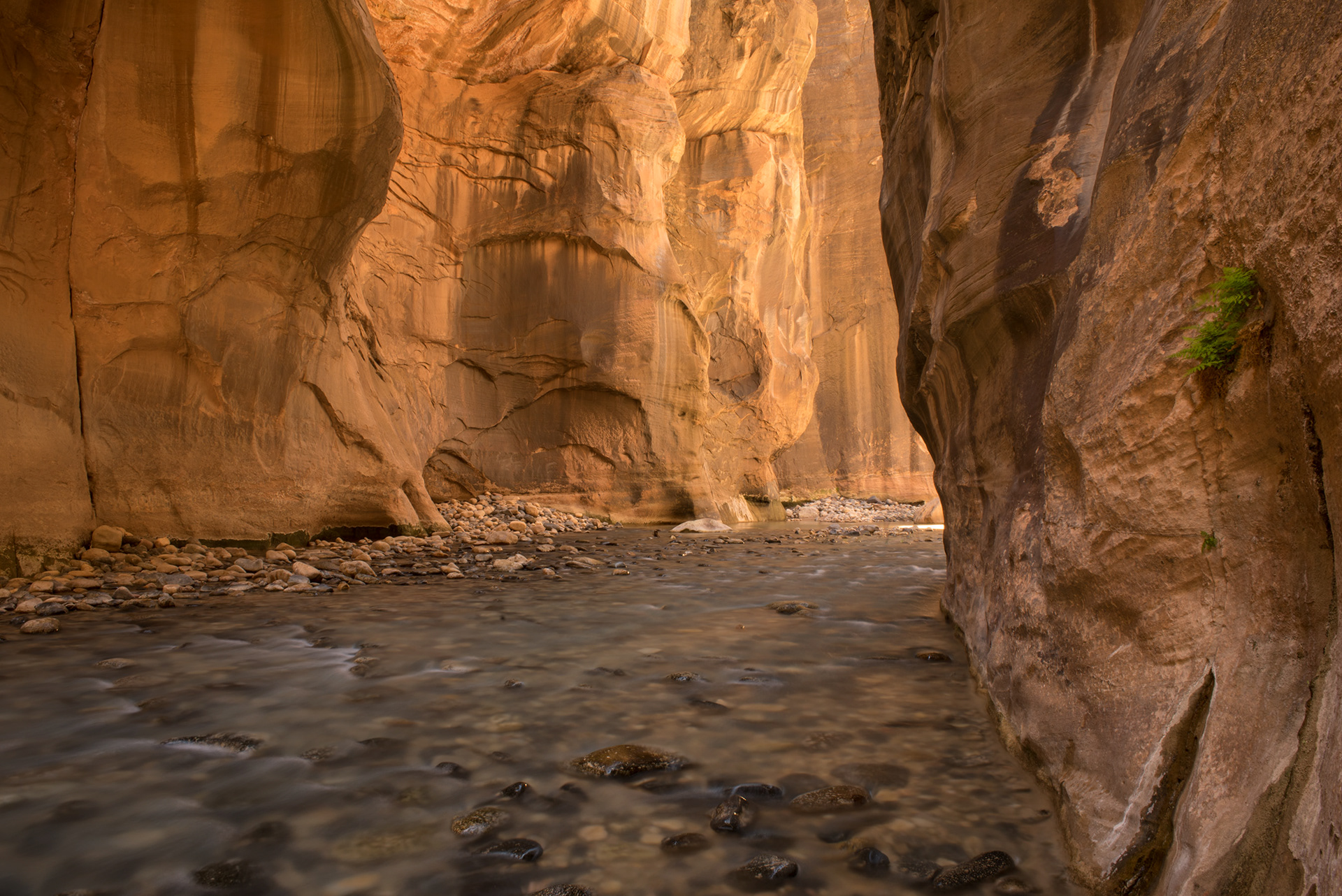Zion Narrows