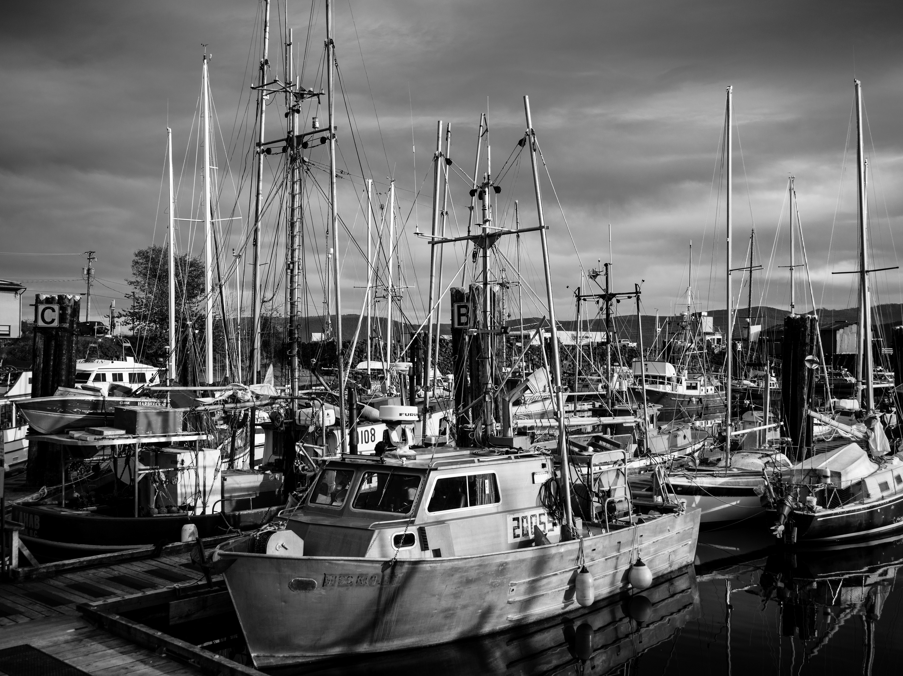 Haida Gwaii, BC / 2018