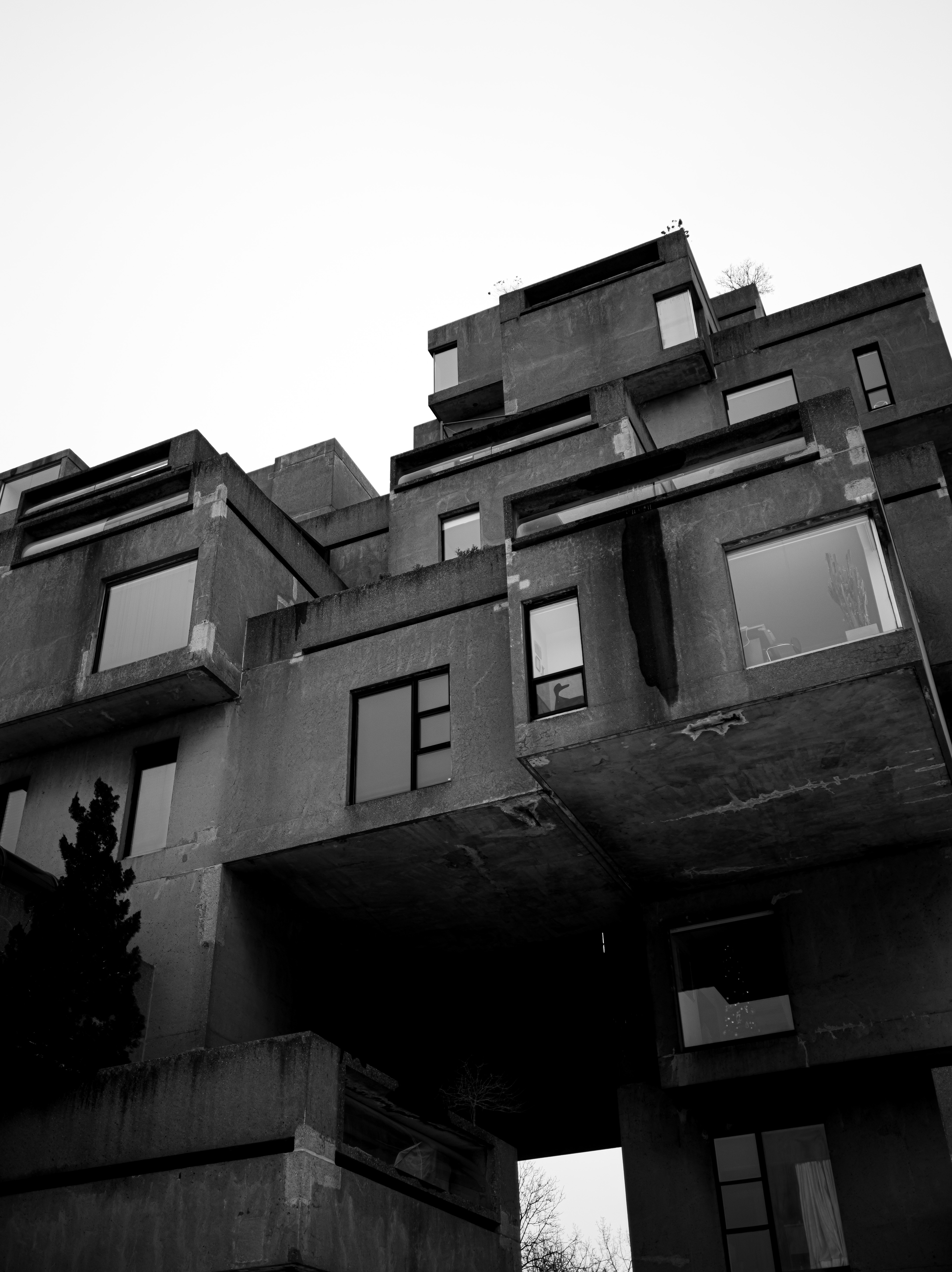 Montréal, QC / 2021