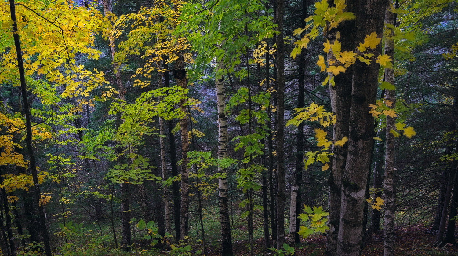 A Change of Seasons