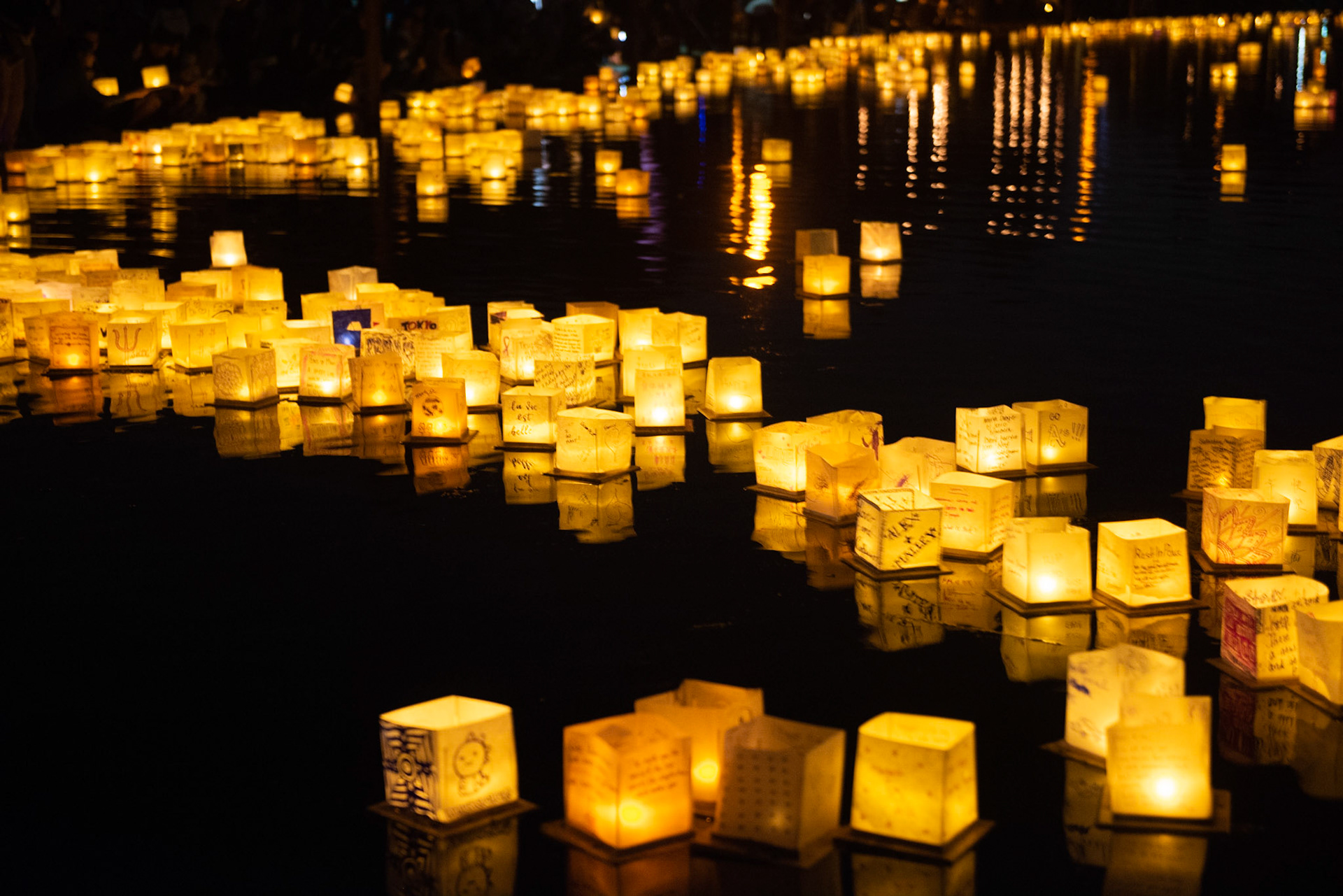 Vivid Corvid Photography - Water Lanterns