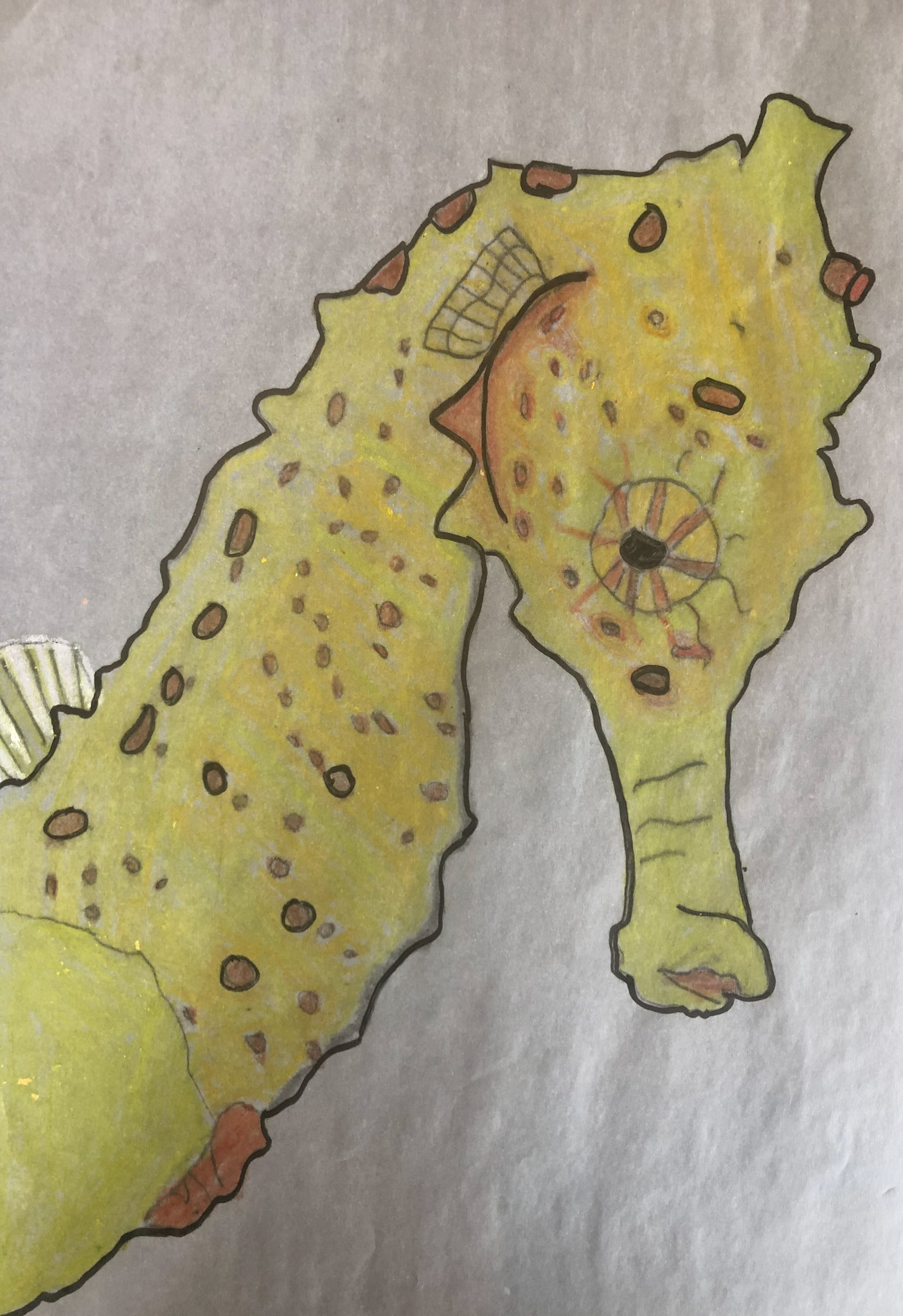 Marlow Koppenhagen Rm 16