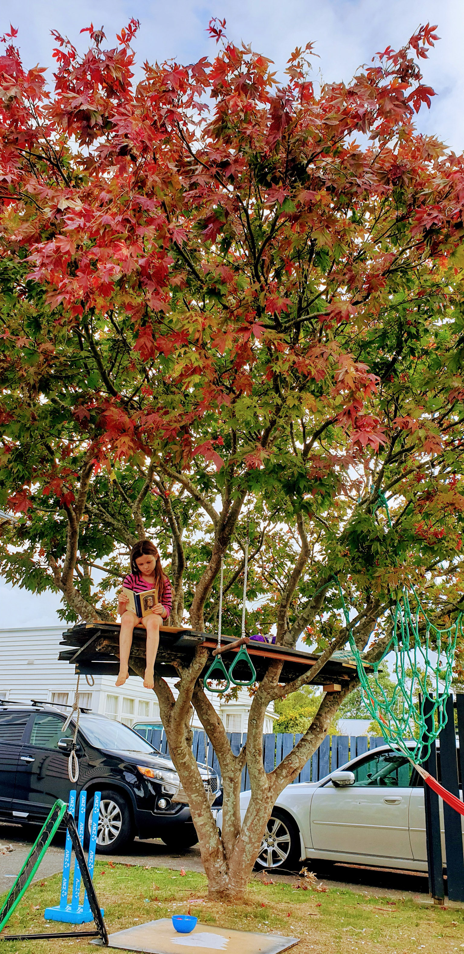 Brown Family Tree Fort