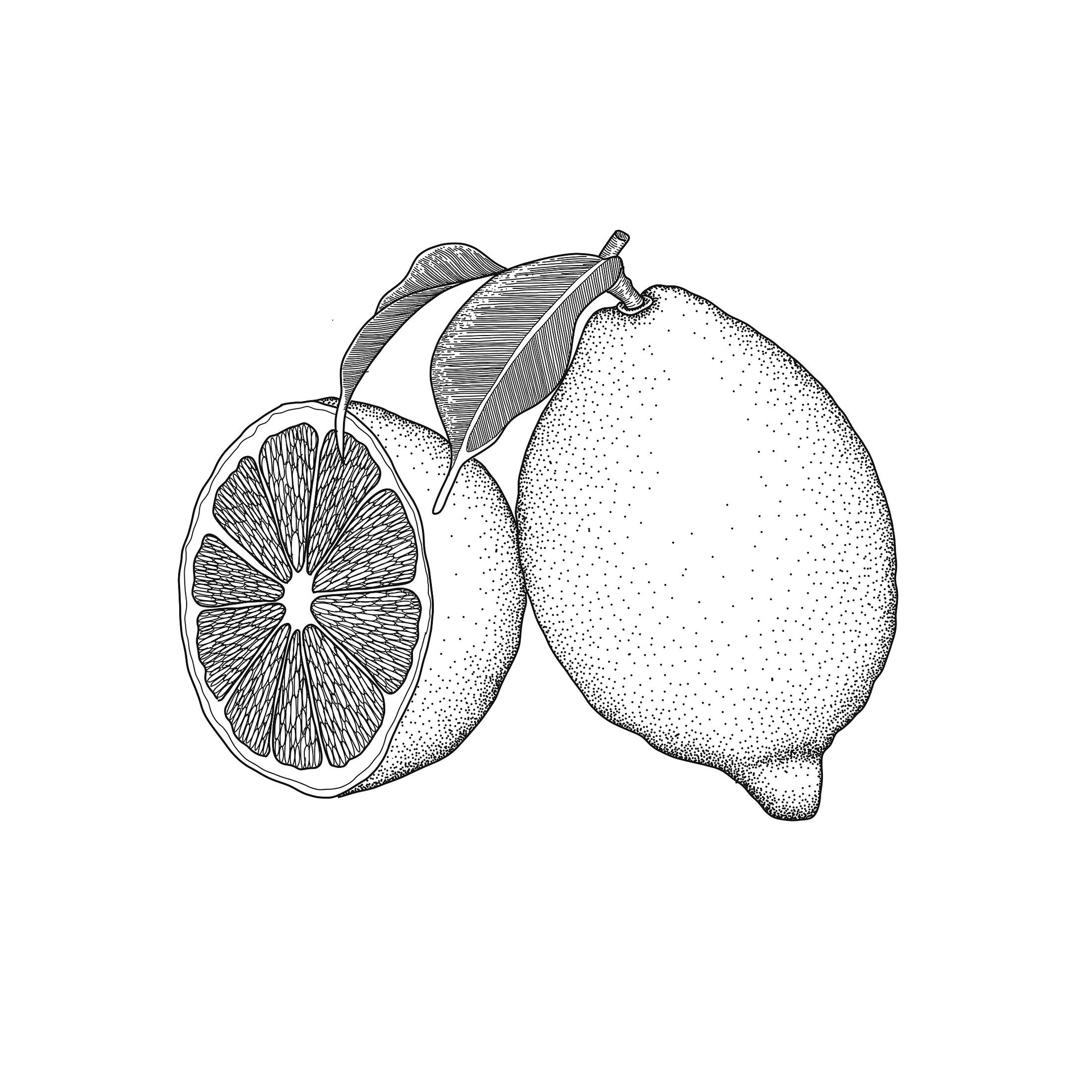 Lemon
