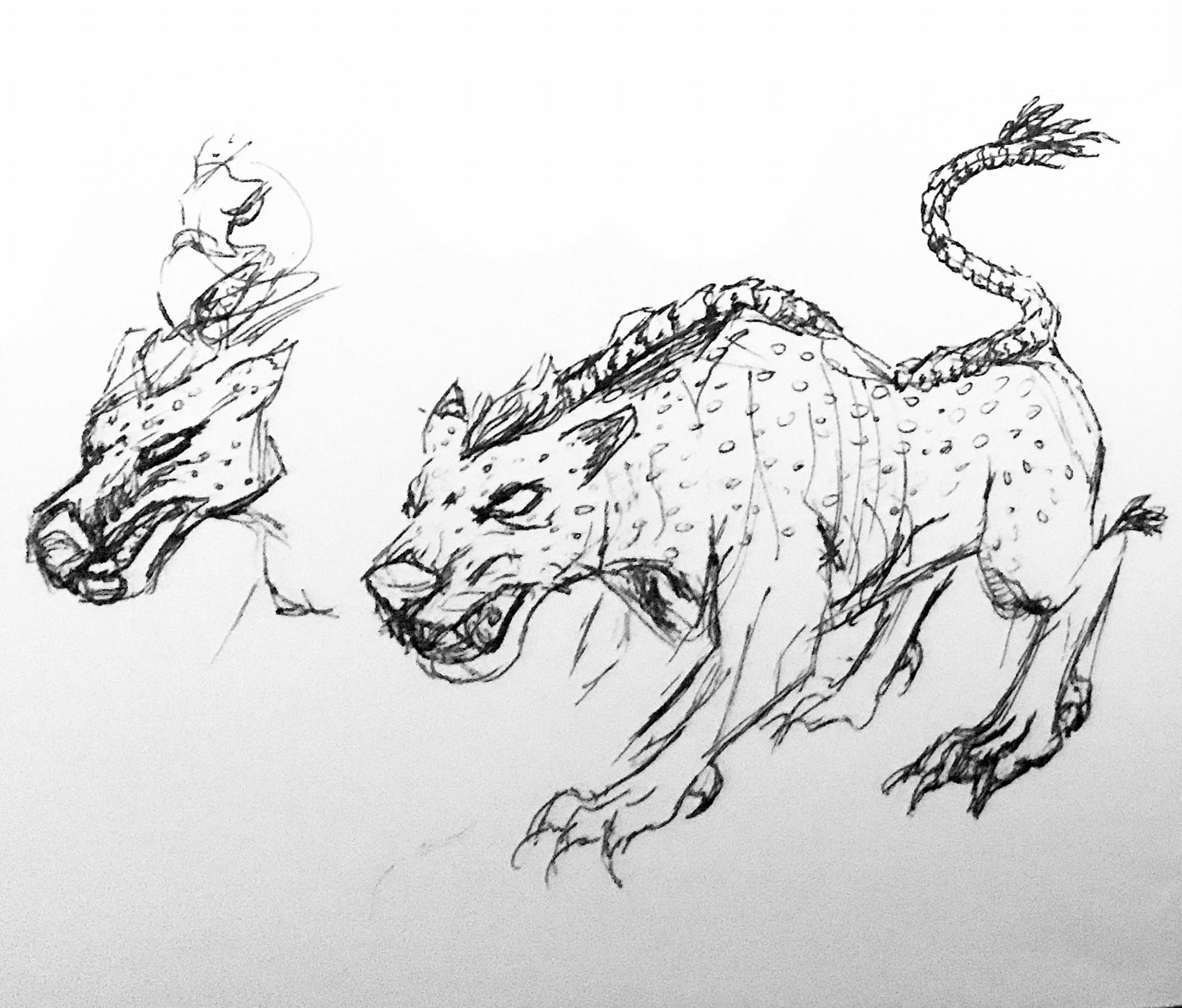 First Concept Sketch