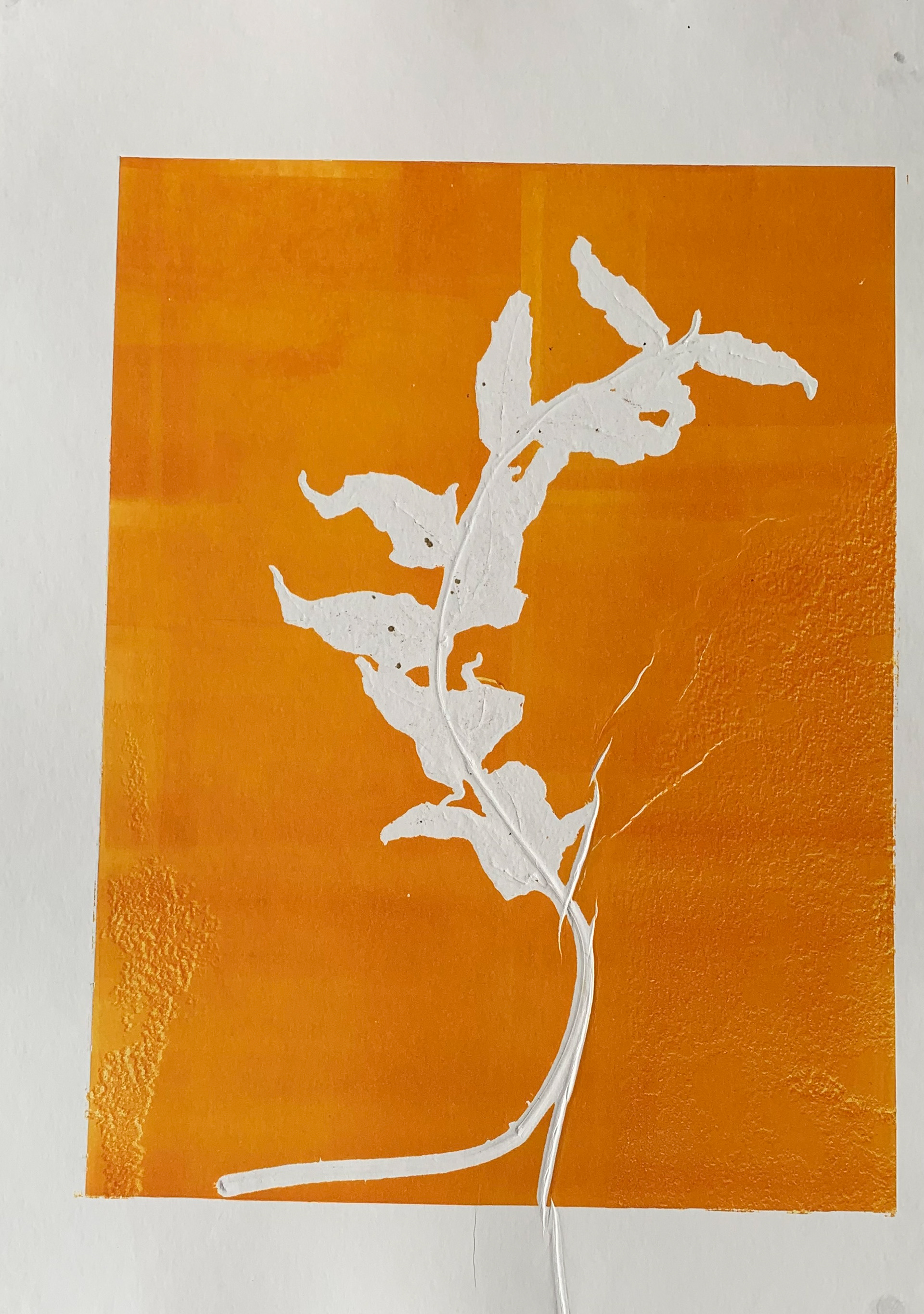 Collagraph on paper, 59 x 42 cm