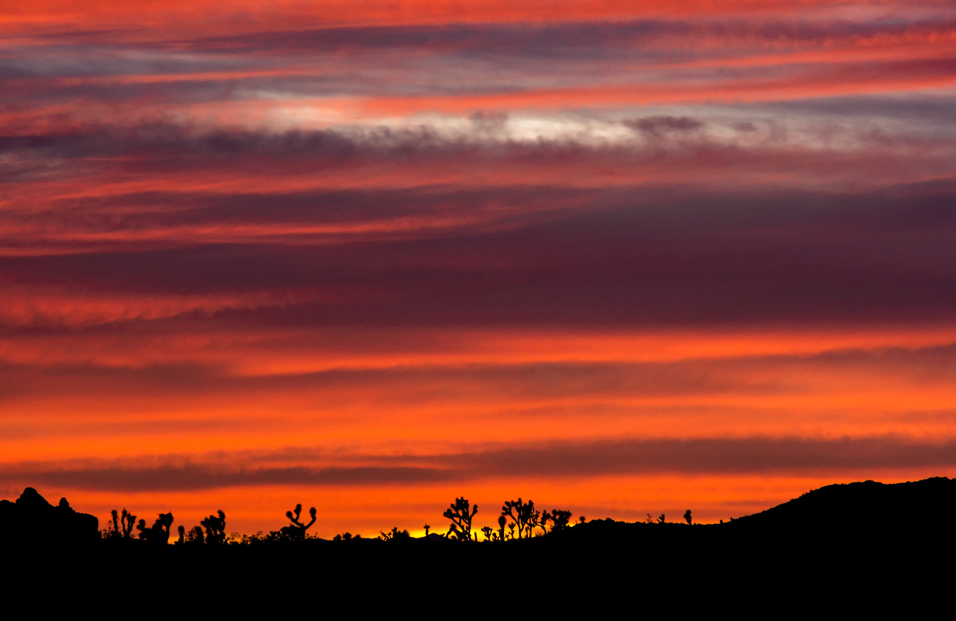 Telephoto of a fiery sunset in Joshua Tree National Park