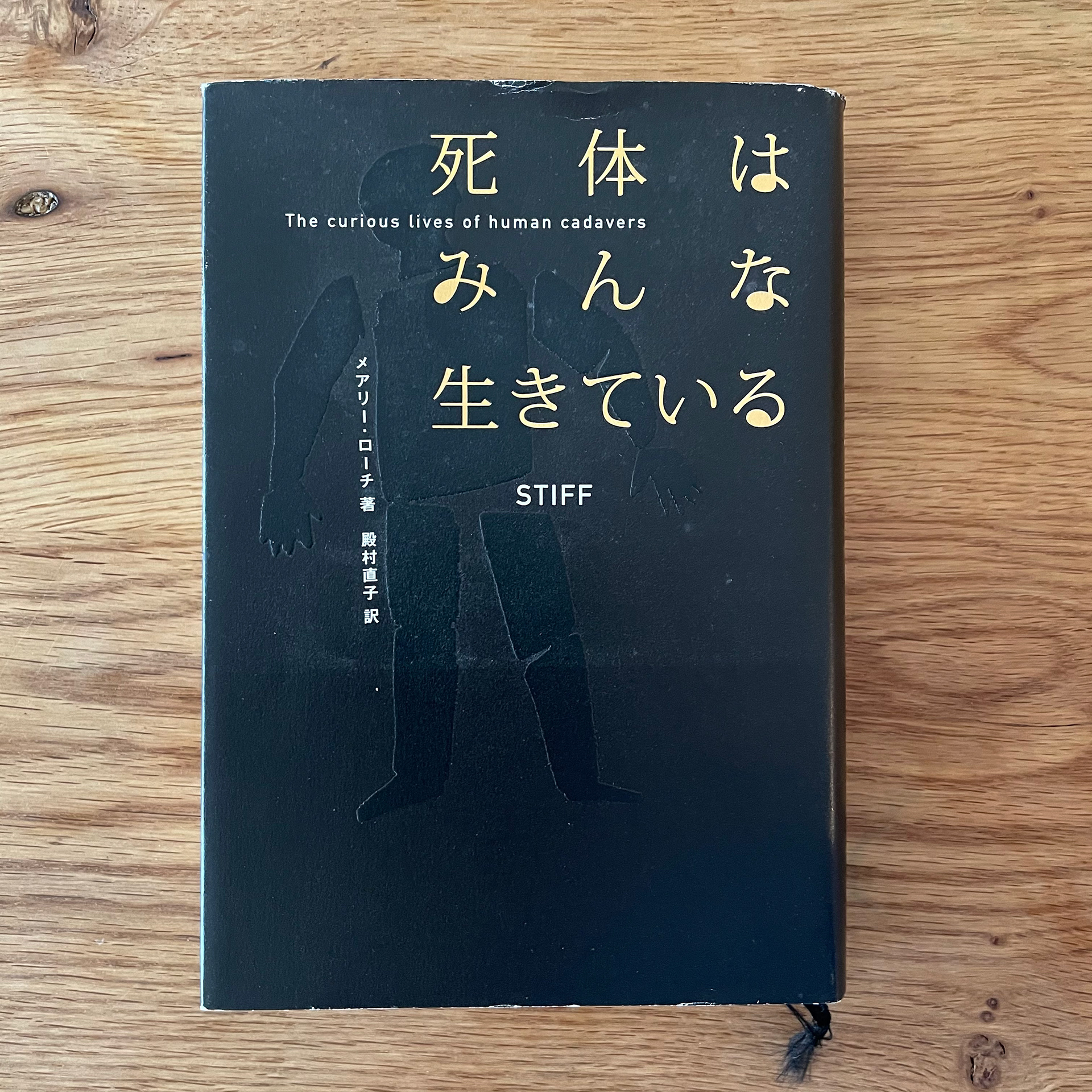 Maedahankiti 死体はみんな生きている