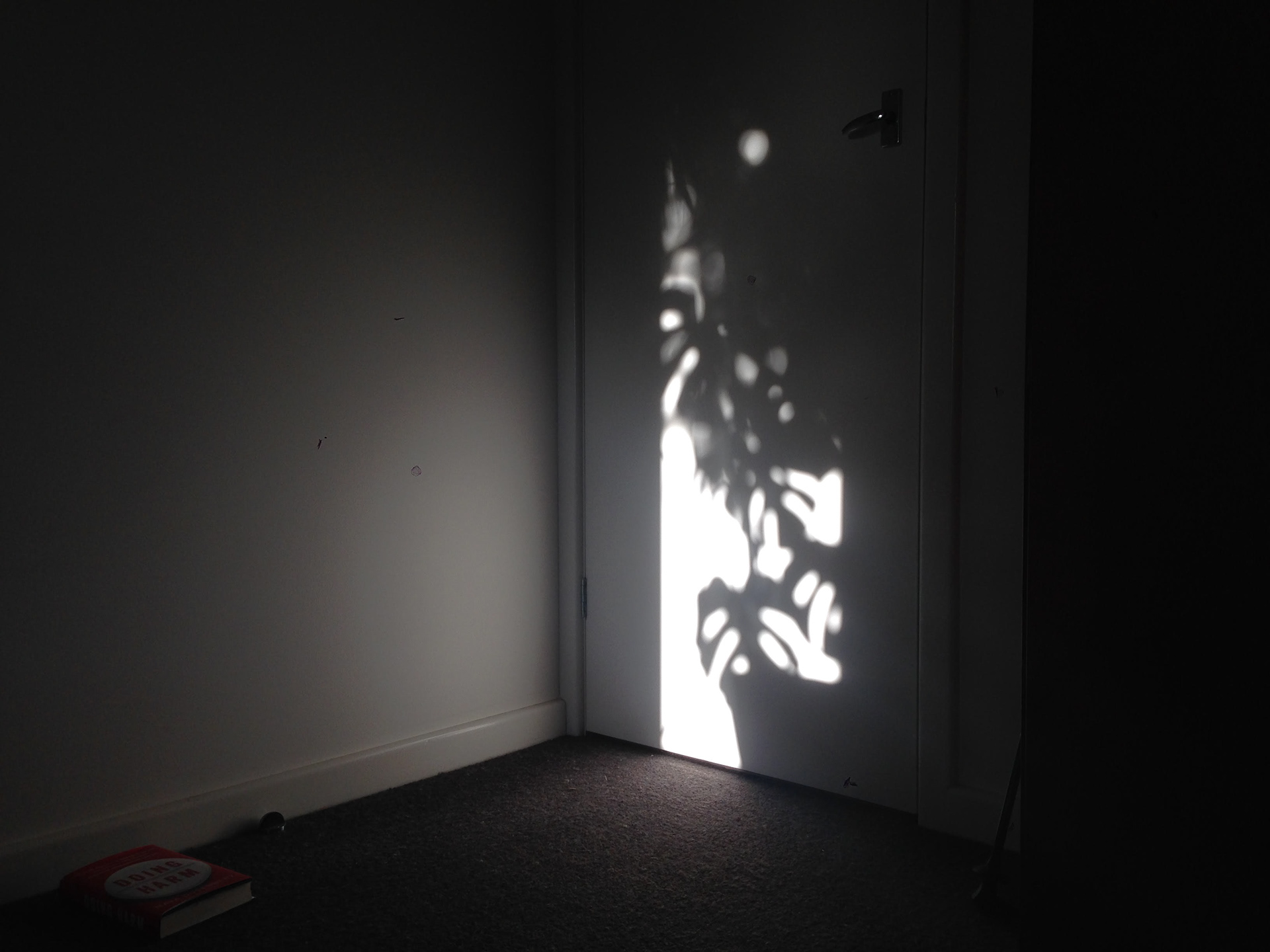 Photography by Taylor Ryan