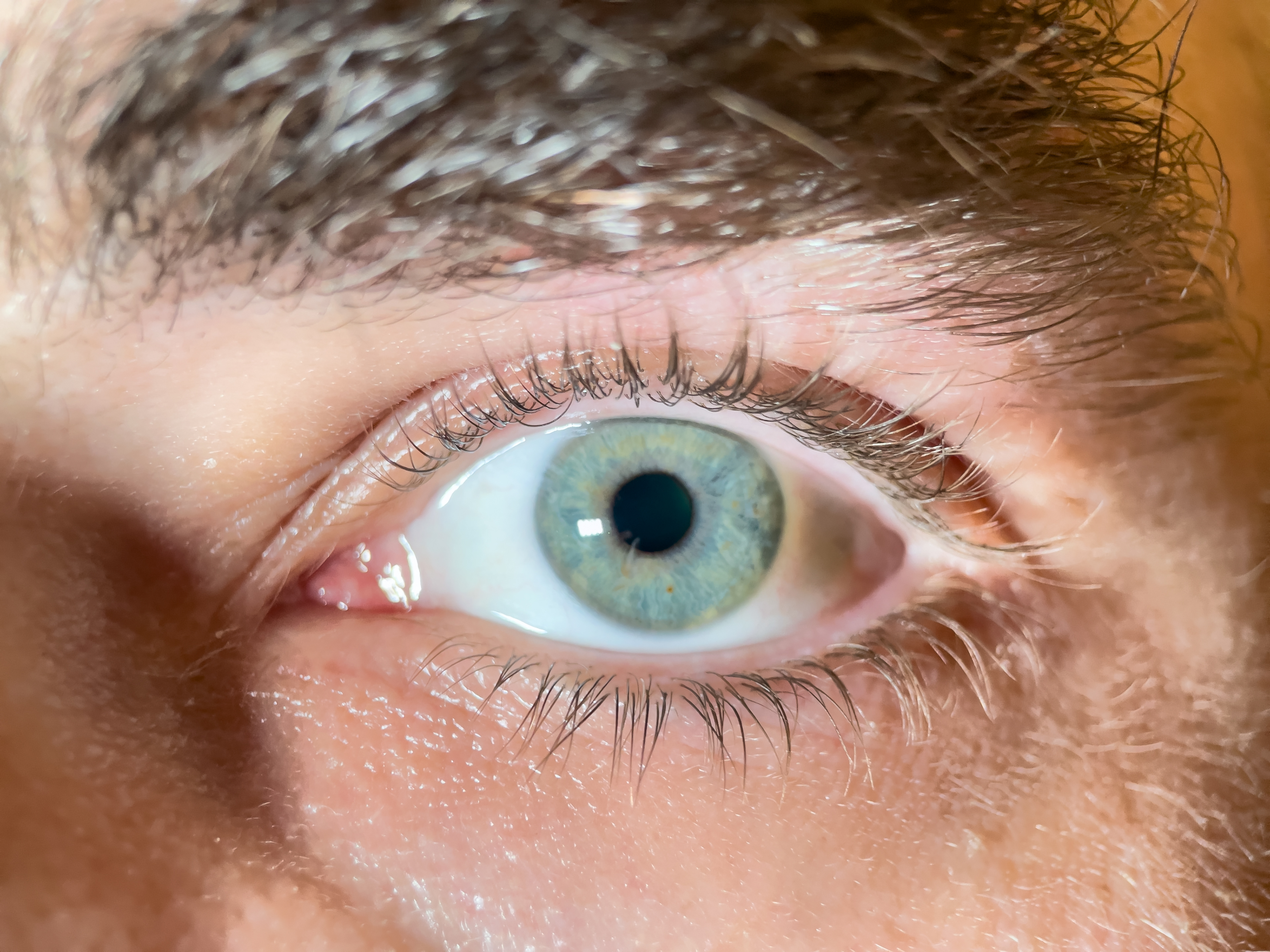 Window to My Soul
