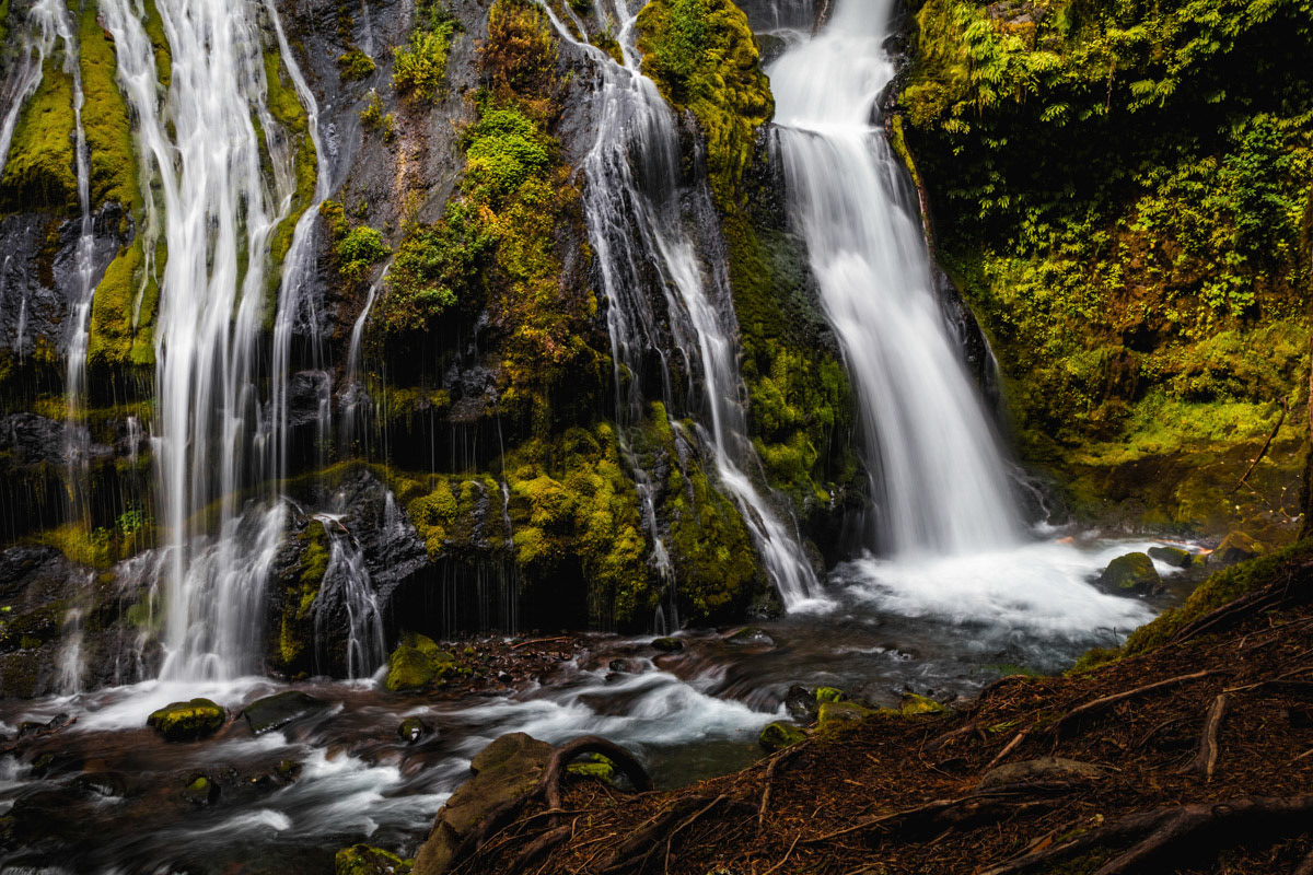 Panther Creek Falls