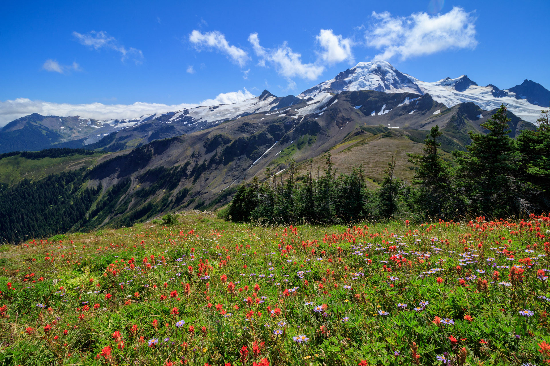 Mount Baker from the Skyline Divide Trail, Mount Baker-Snoqualmie National Forest, Washington
