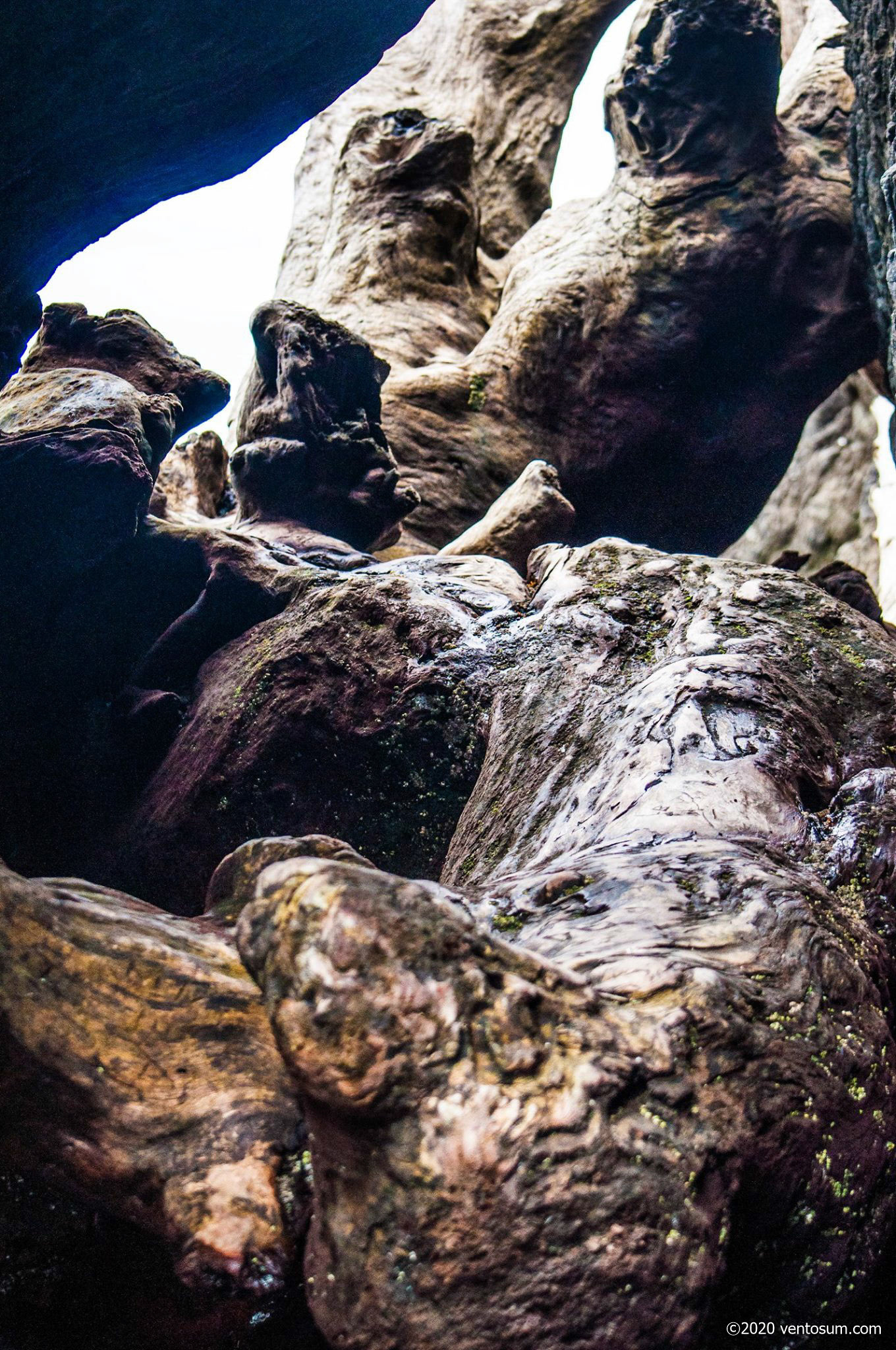 Coquille Point, Bandon, Oregon, United States