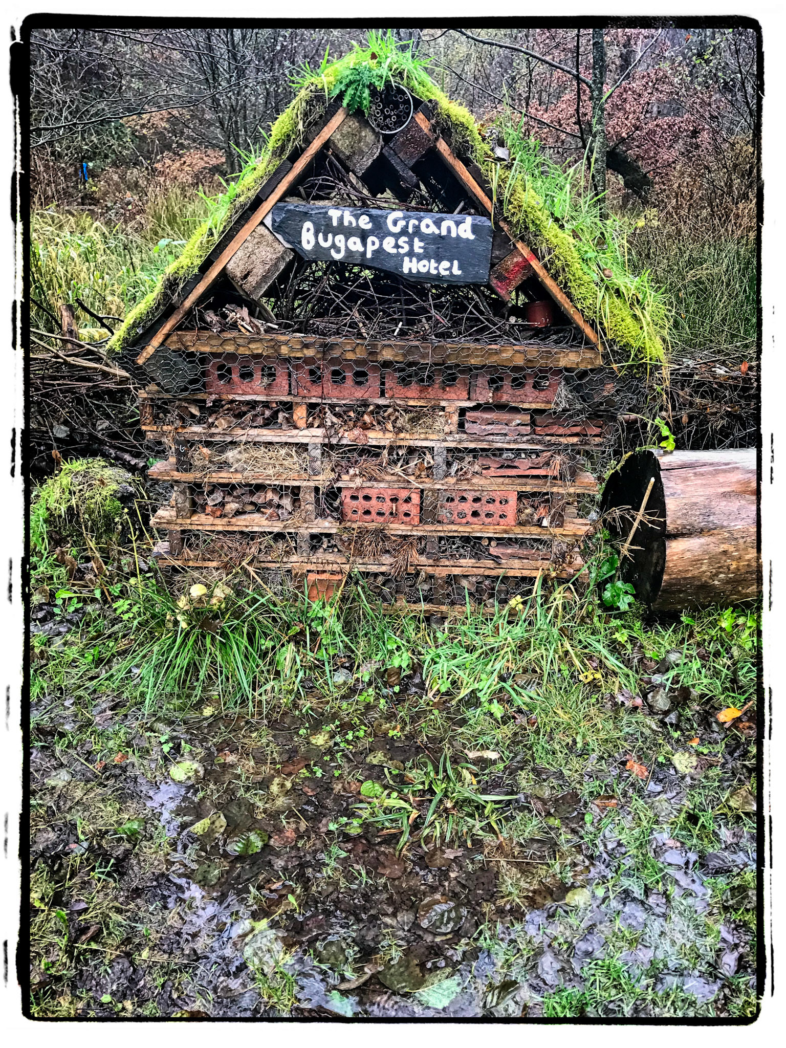 The Bug Hotel (SC)