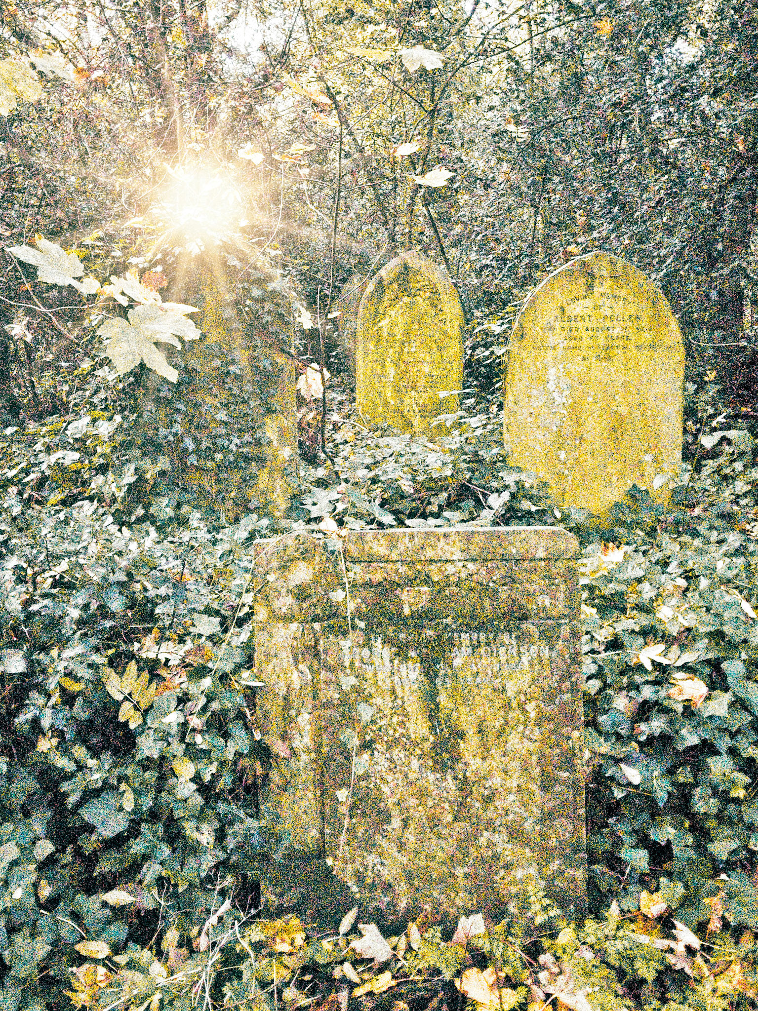 Nunhead Cemetery (SC)