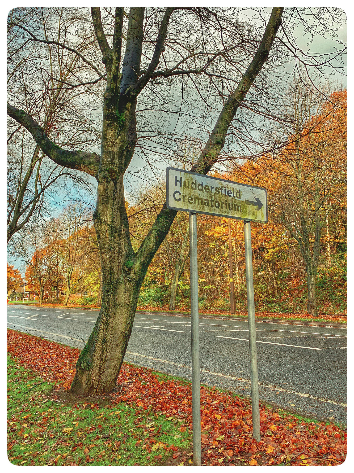 The End of the Way (AB)