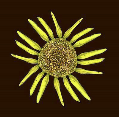 Helios