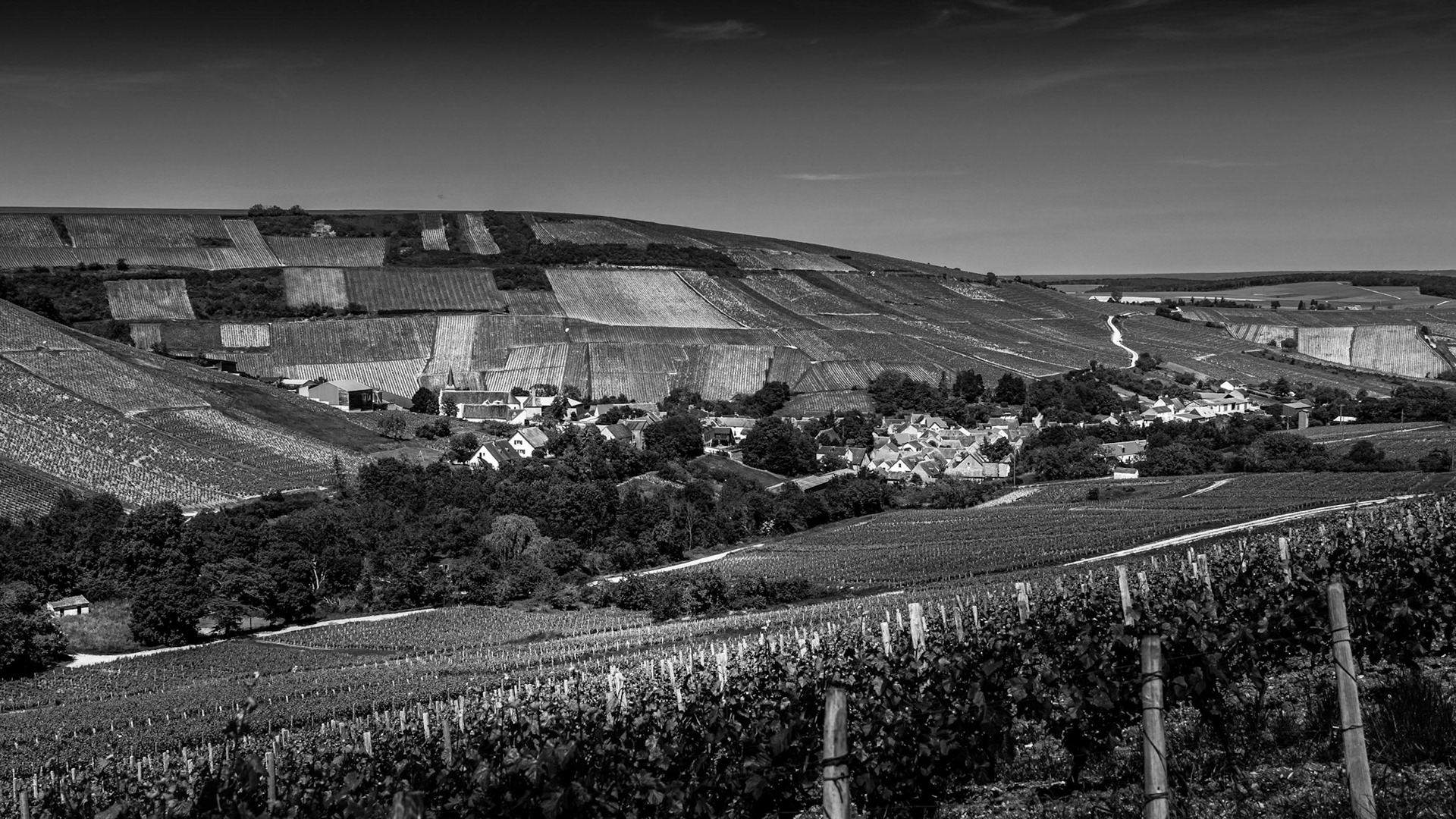 Chavignol