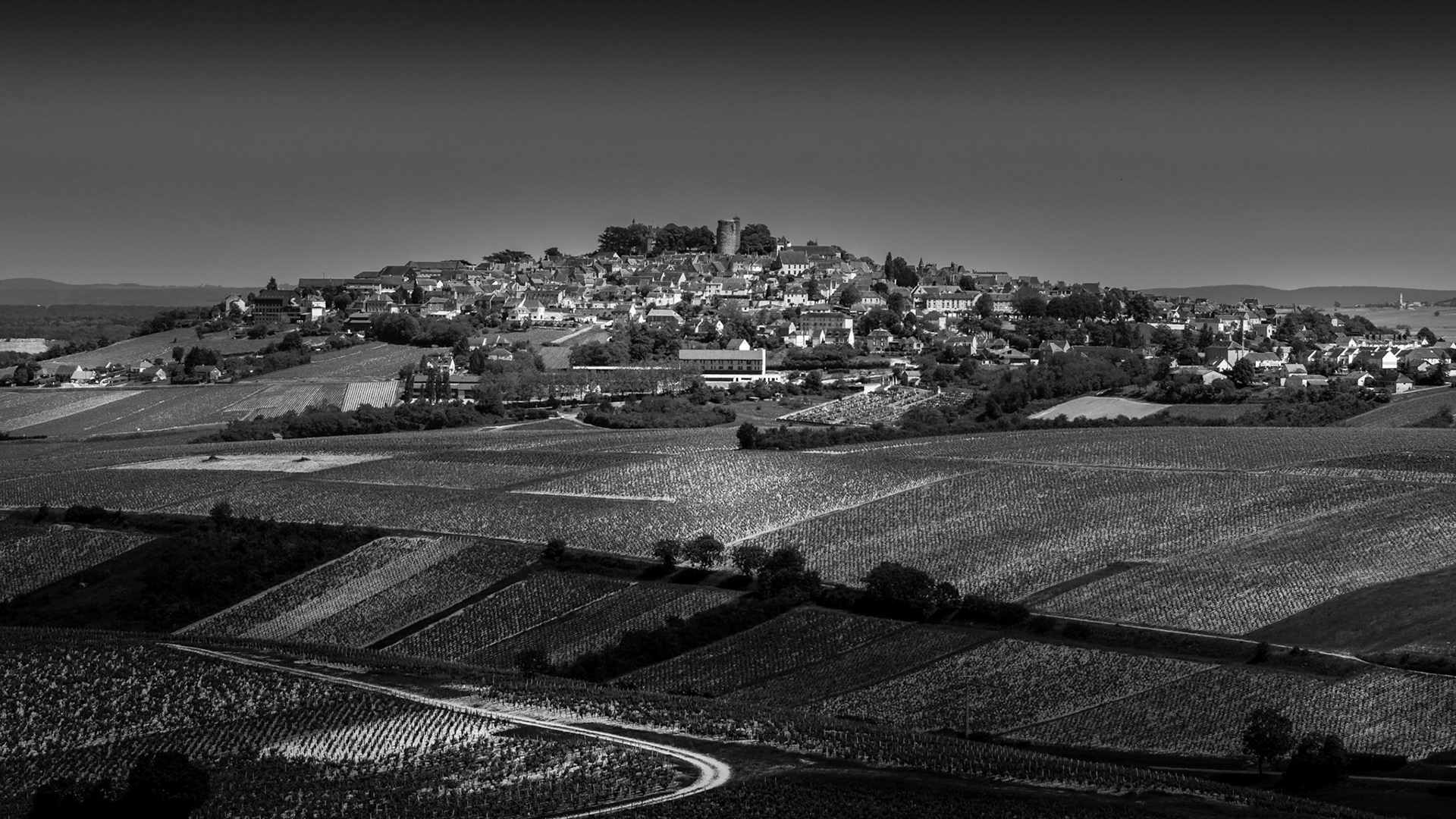 Sancerre