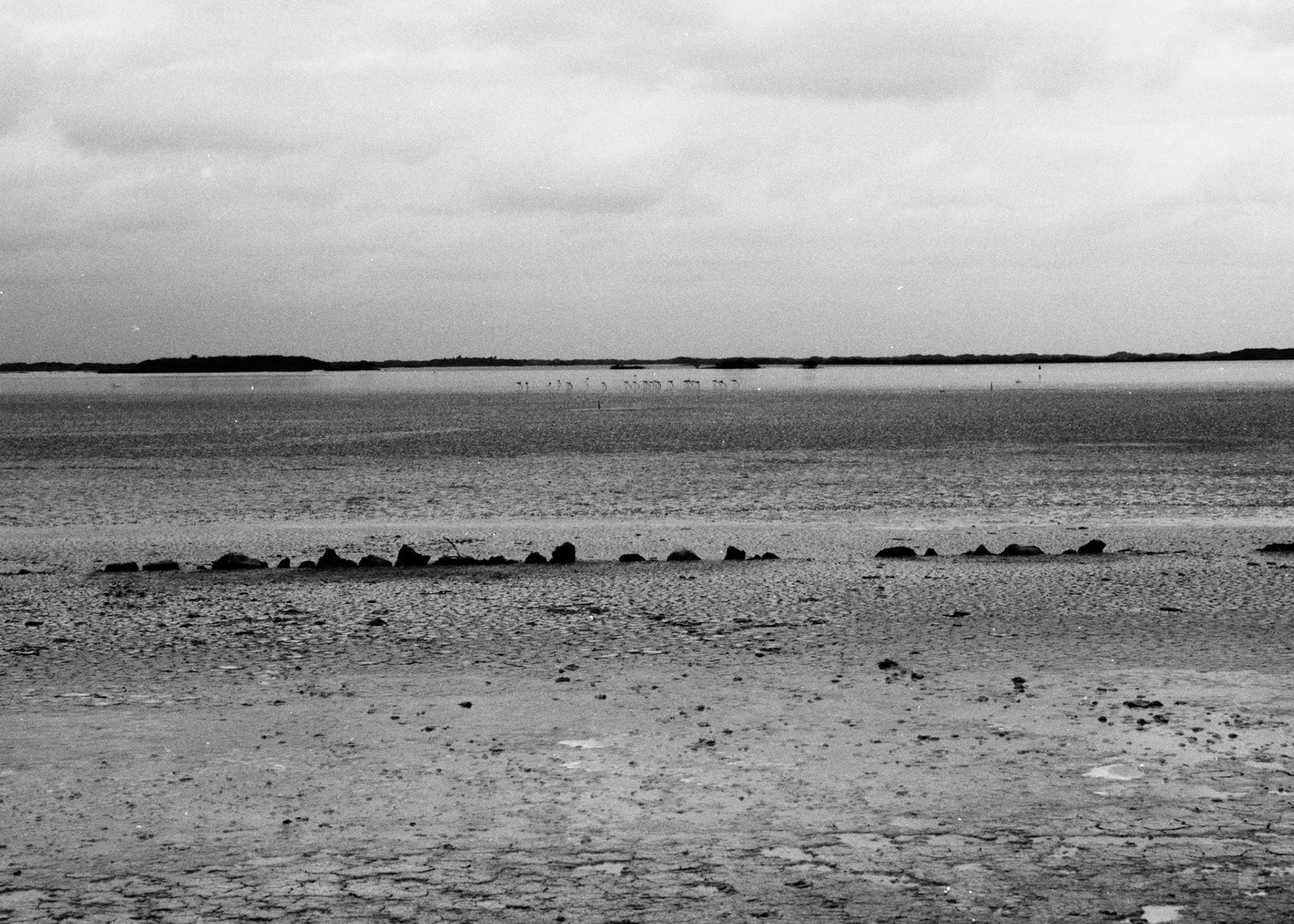 San Crisanto, Yucatán