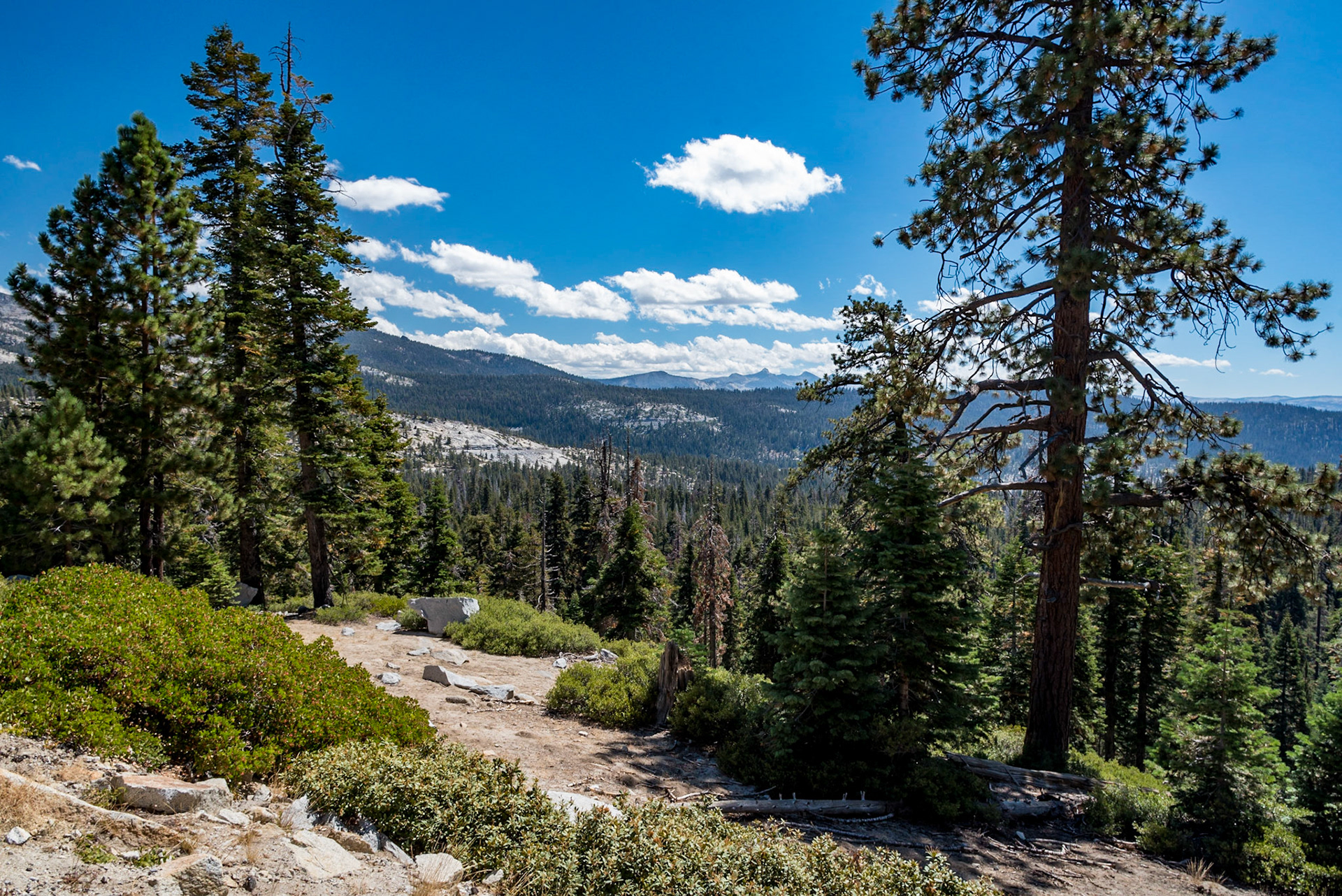 I can see for miles! Yosemite National Park, California