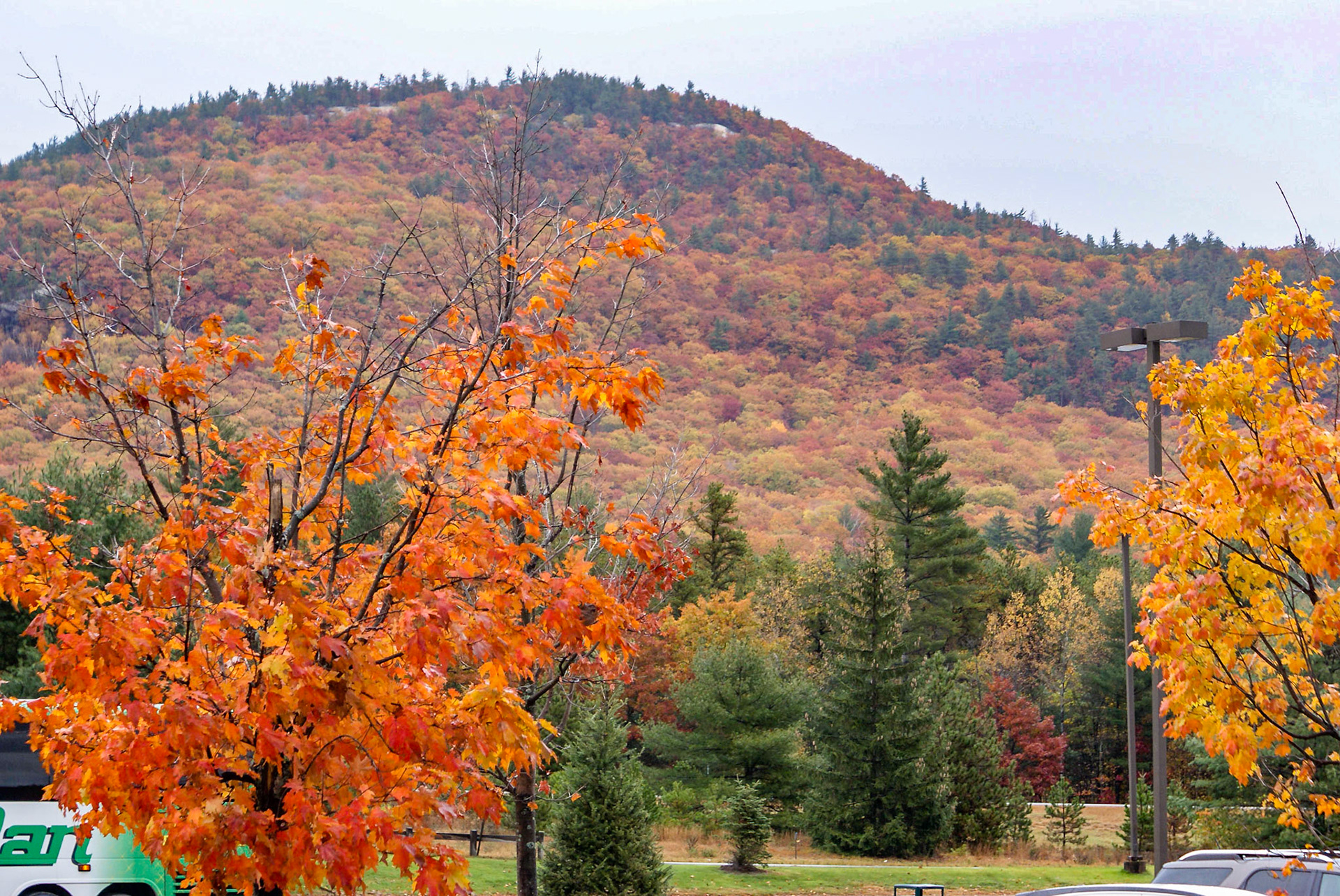 Autumn Colours, North Conway, New Hampshire