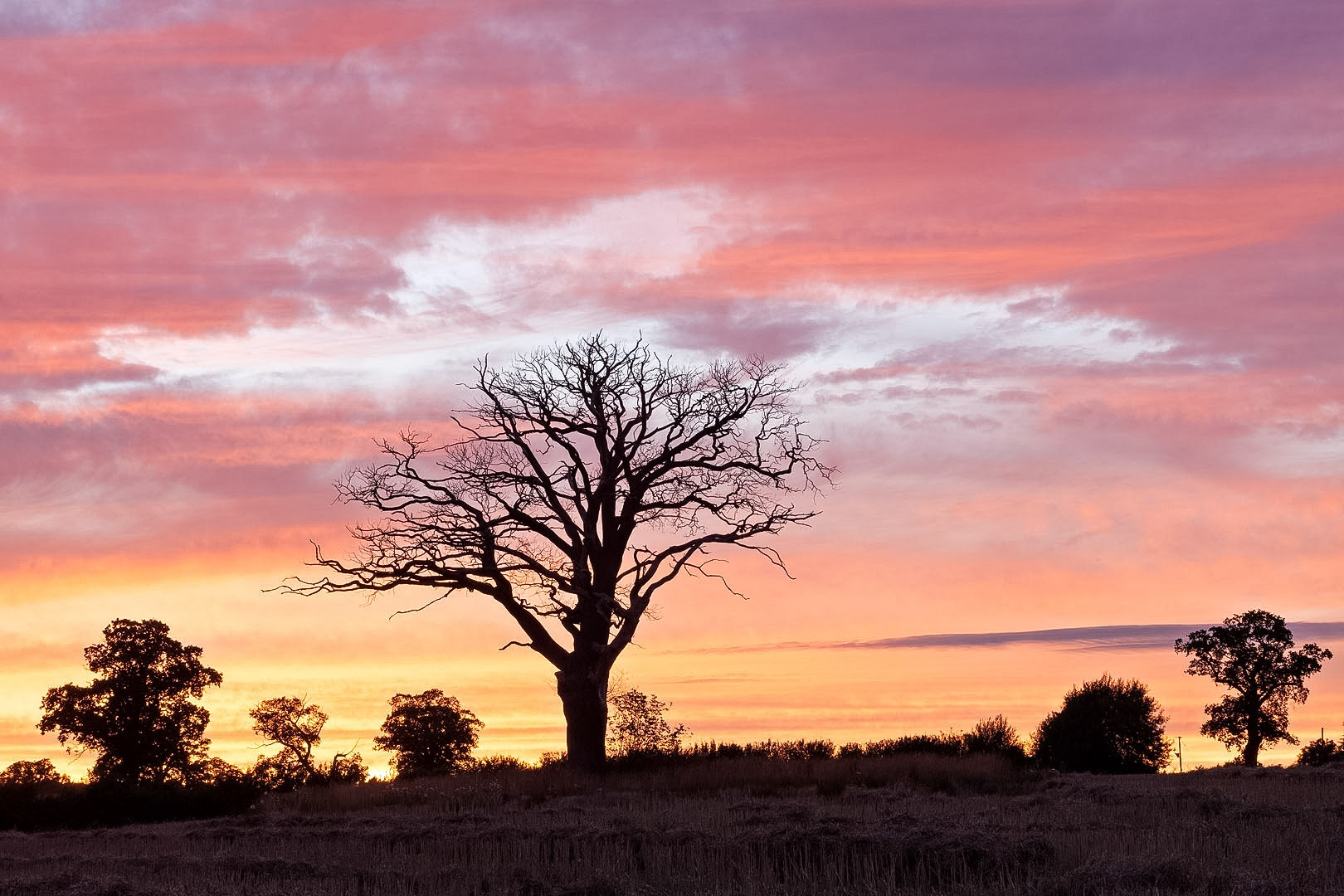 Sunset Silhouettes