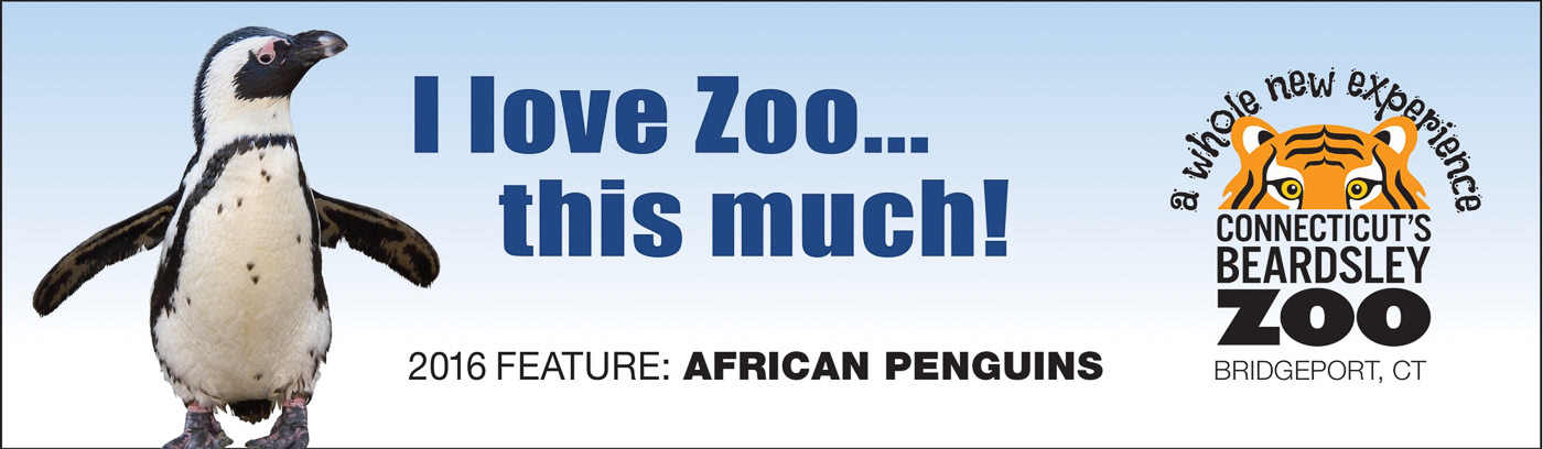 Zoo Penguin Exhibit Billboard