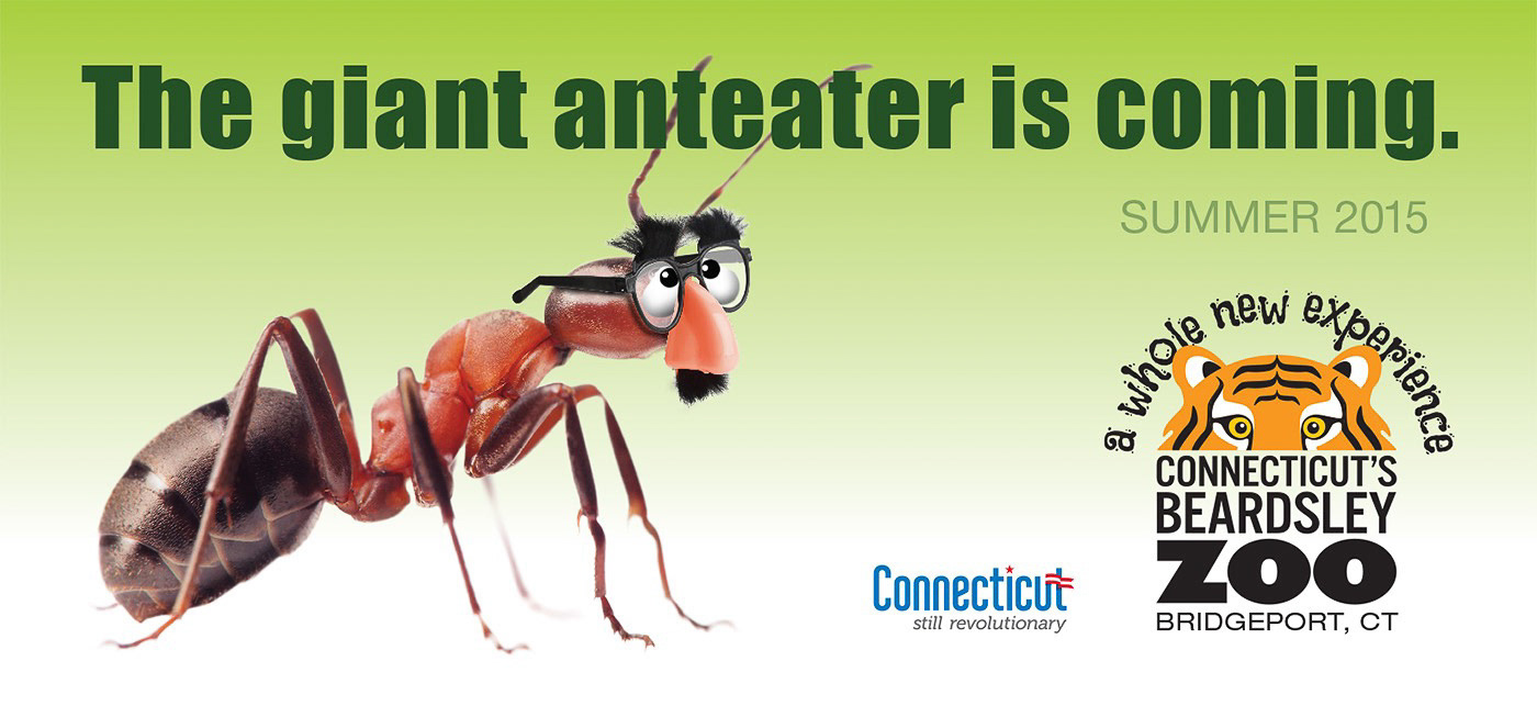 Zoo Anteater Exhibit Billboard