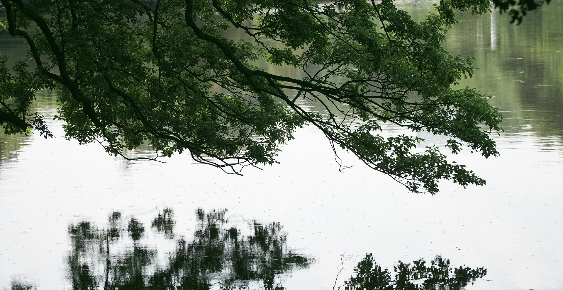 Tivia Consider 言の葉の庭 Photo Reproduction Tivia Consider 言の葉の庭 Photo Reproduction