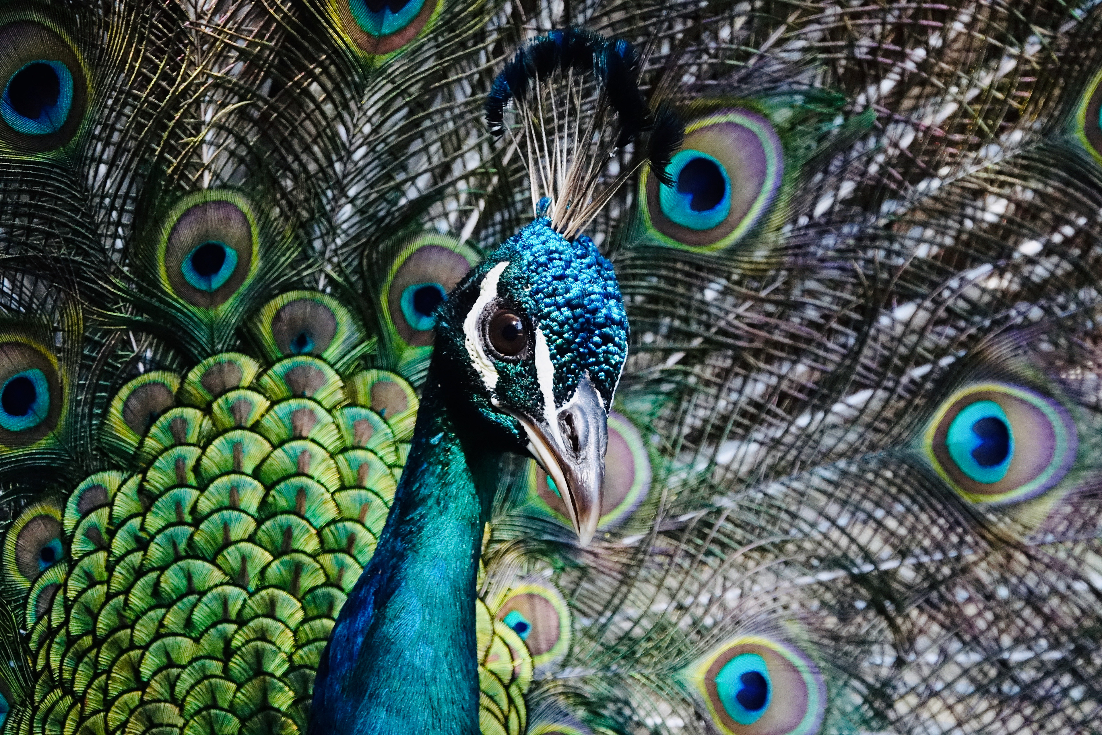 220mm | ƒ/4 | ISO 1600 | 1/1000s