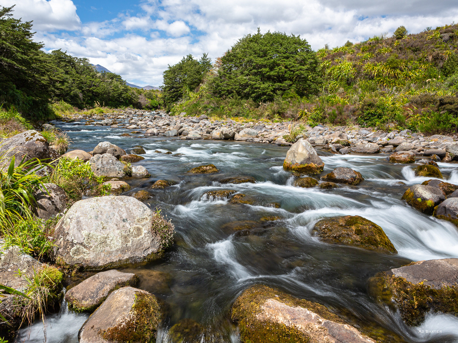 Image 32